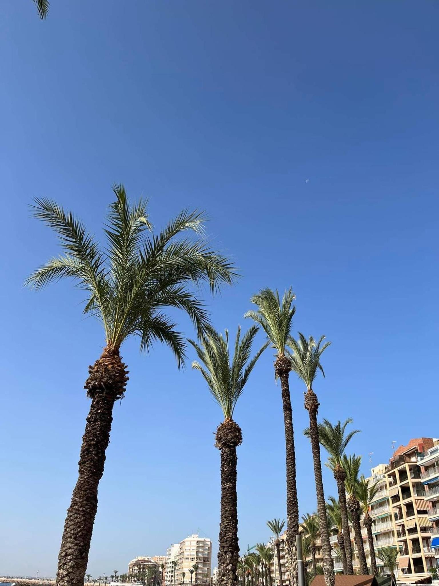 Uroczy apartament przy Playa de los Locos