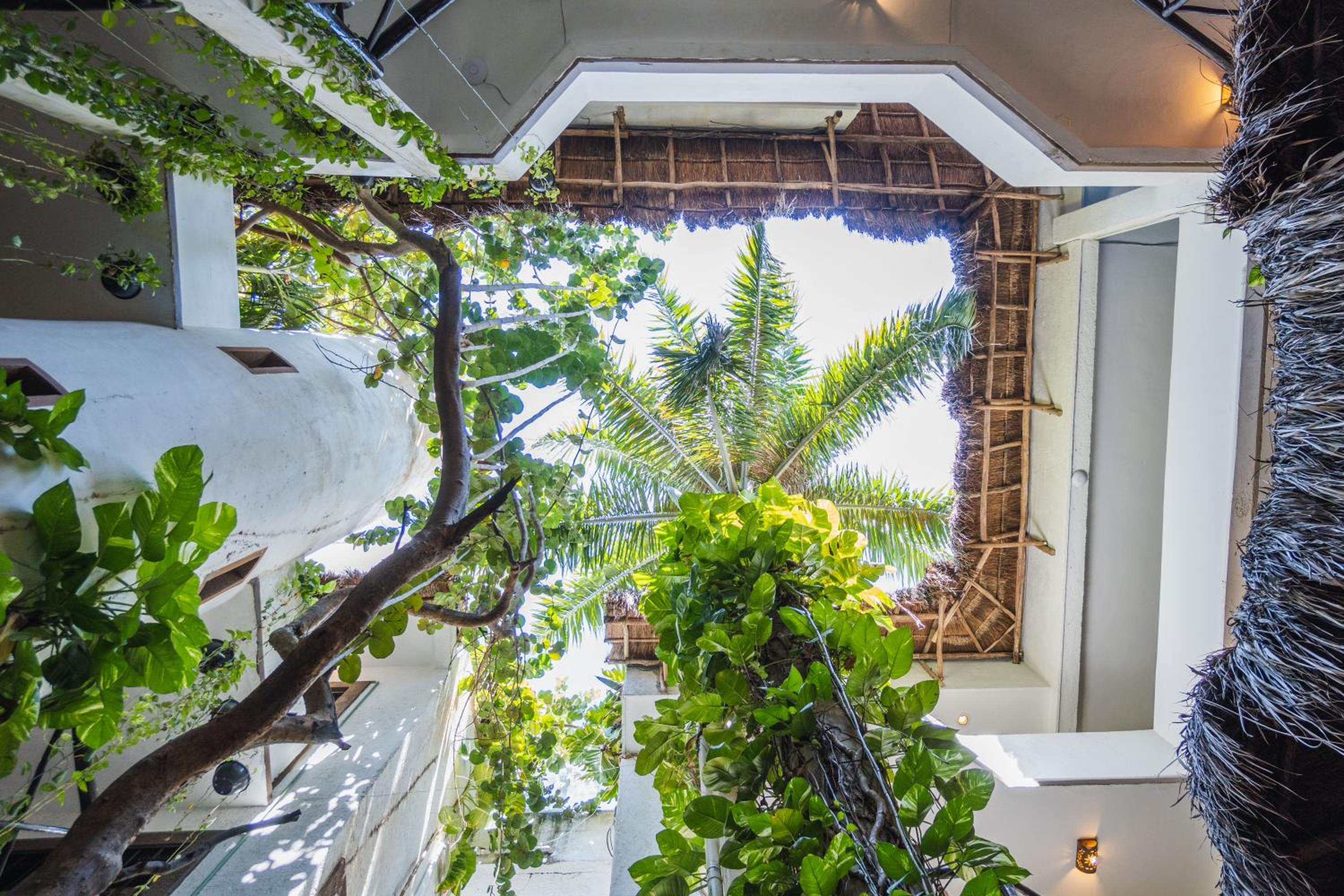 Hotel Posada Mariposa Boutique Hotel - 5th Avenue - Image 1