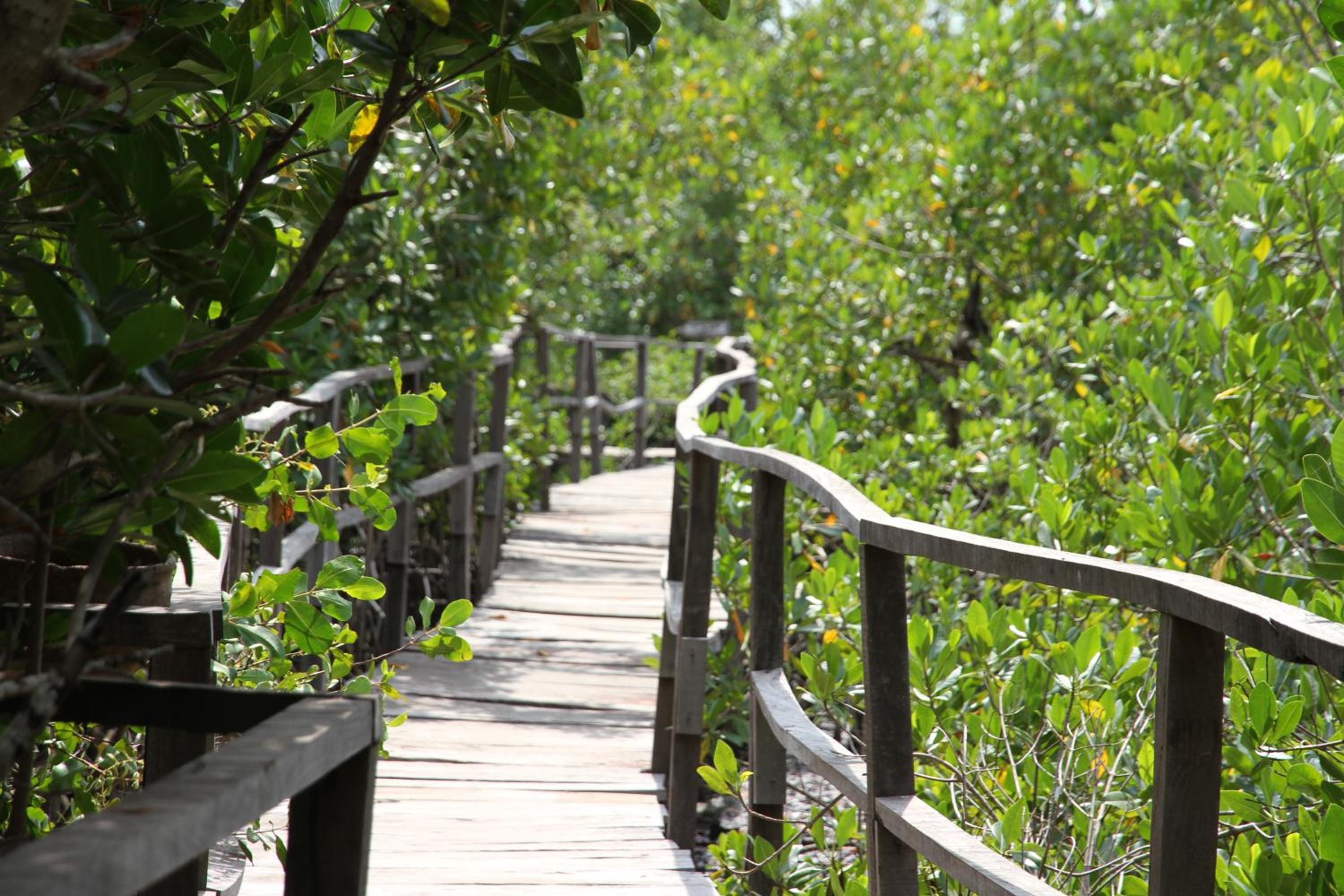 Bintang Bolong Lodge