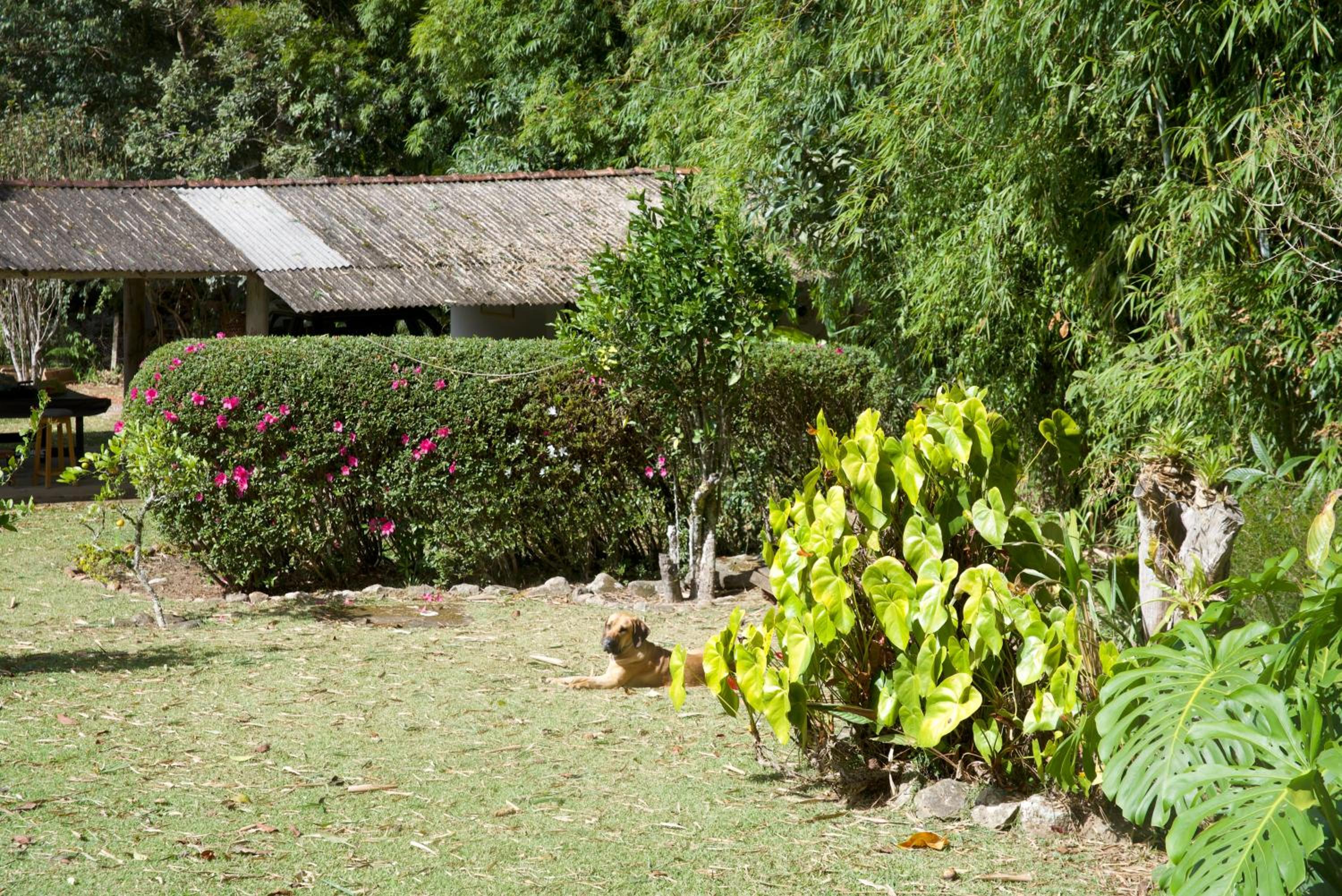 Casa em Friburgo com piscina, lareira, 1 suíte e 1 quarto