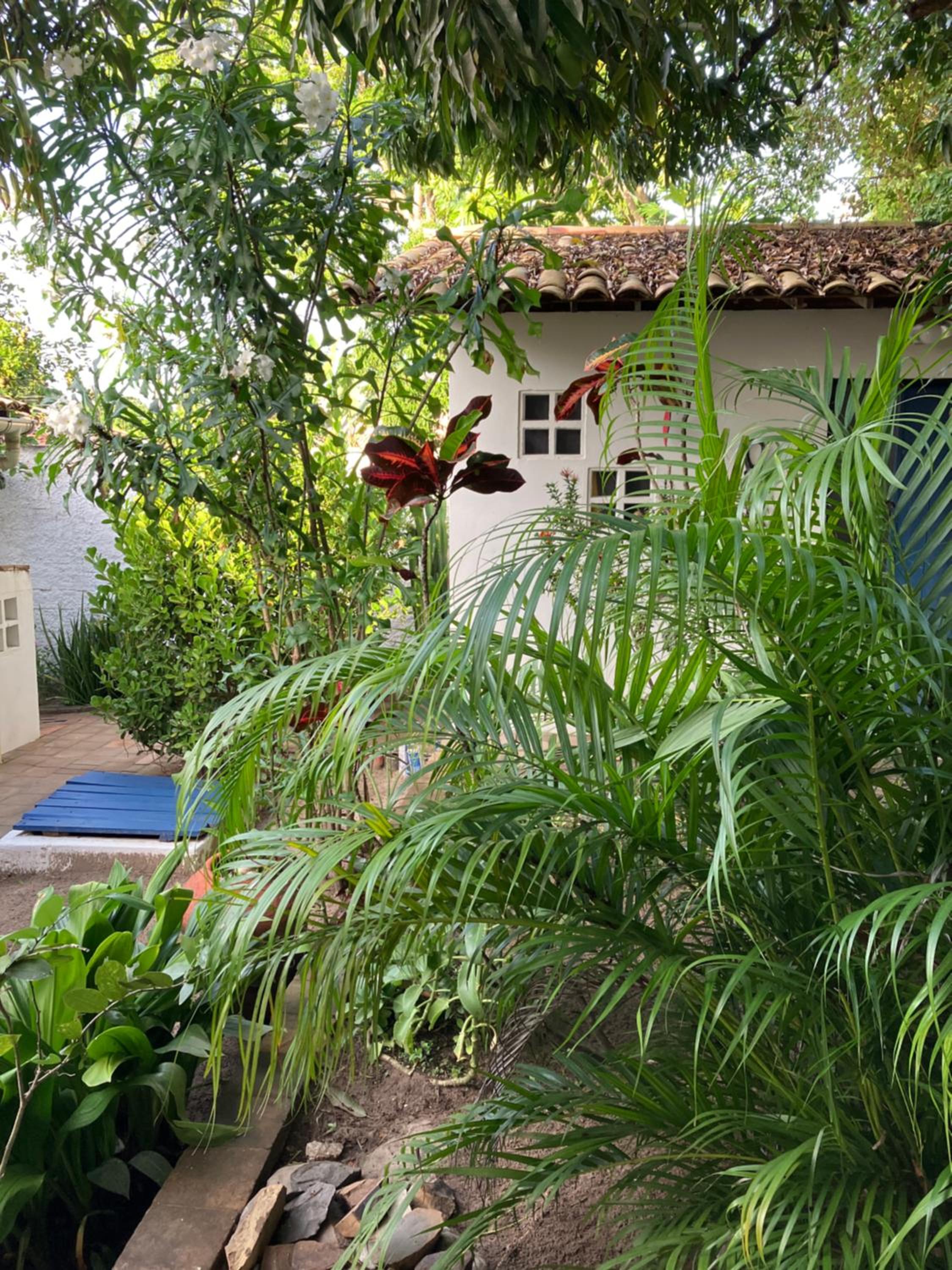 Mangue Seco Lodge - Experiência Gastronômica