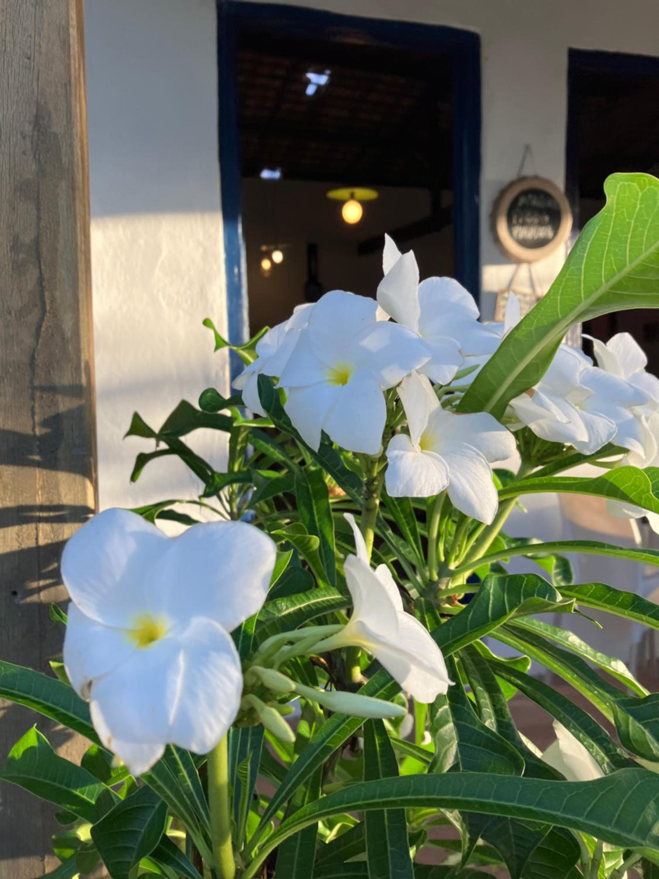 Mangue Seco Lodge - Experiência Gastronômica
