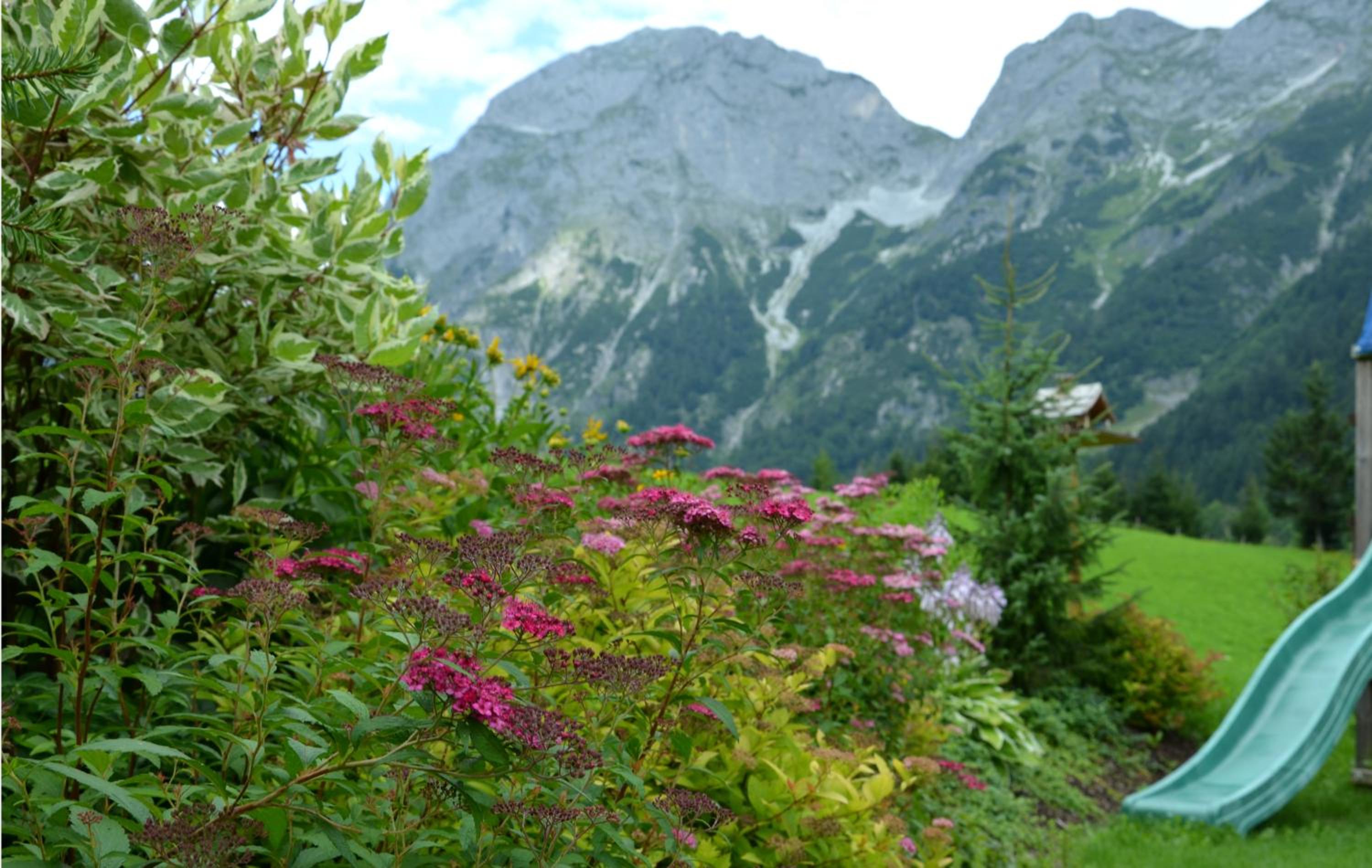 Apartment Tennengebirge