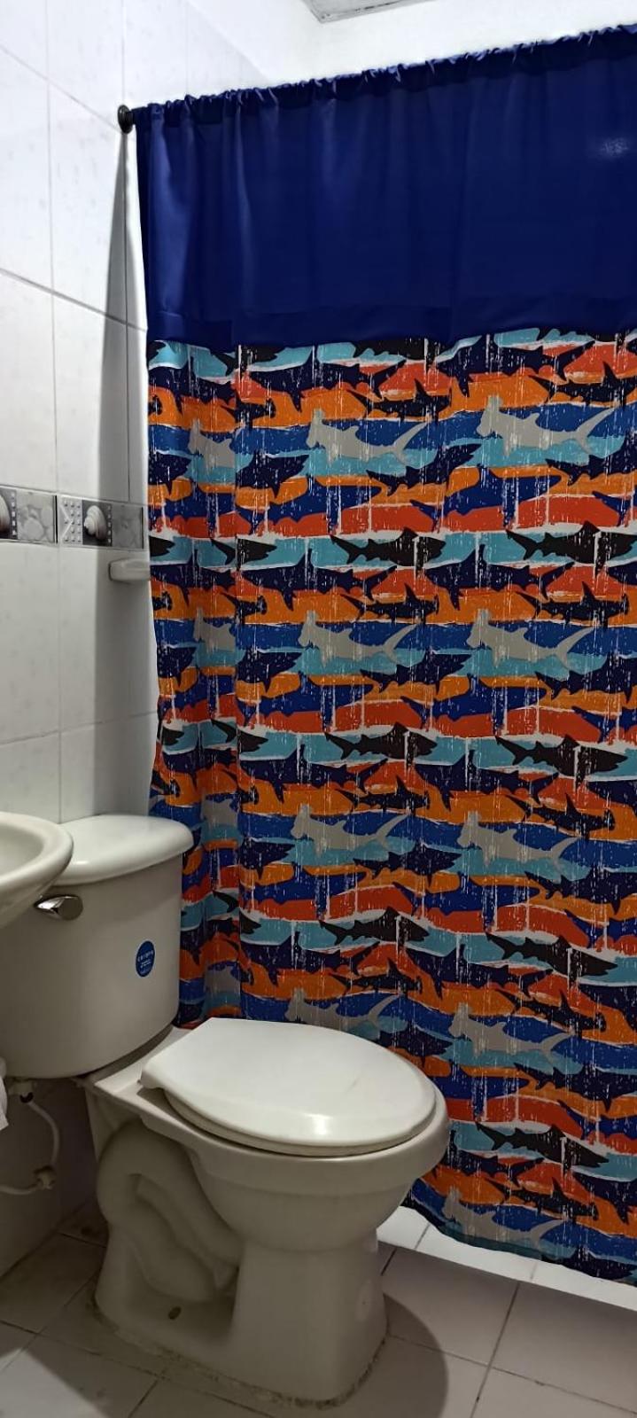 Apartaestudio
