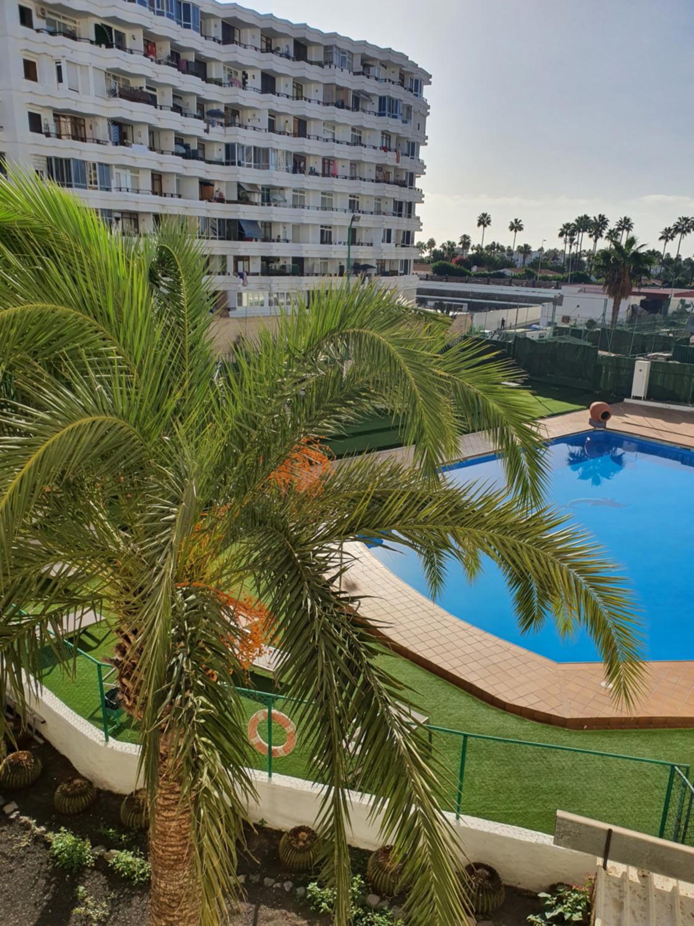 Playa del Ingles Estudio LOS MOLINOS 205 view 3