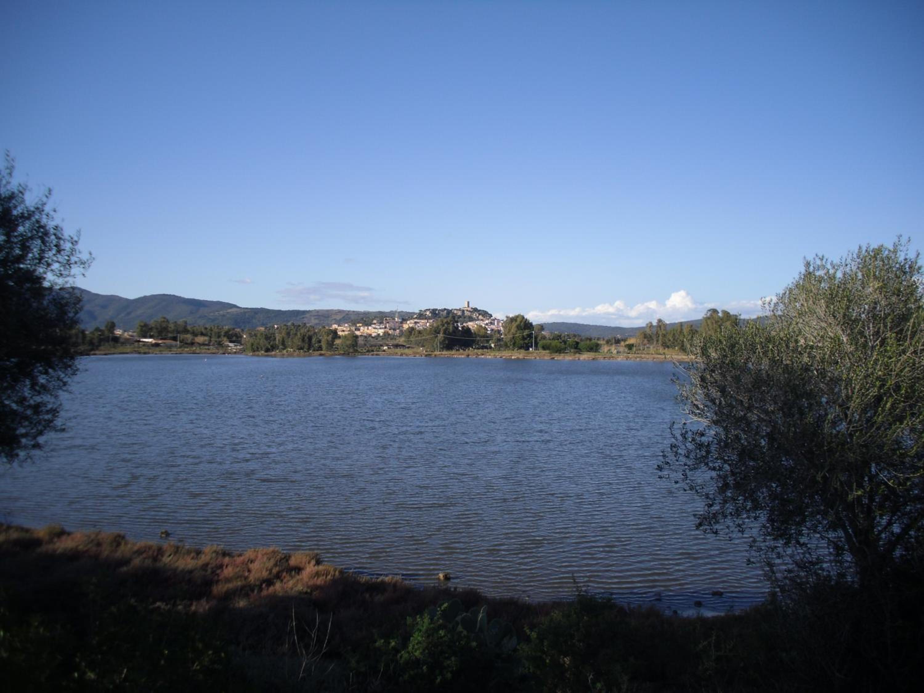 Photo 45