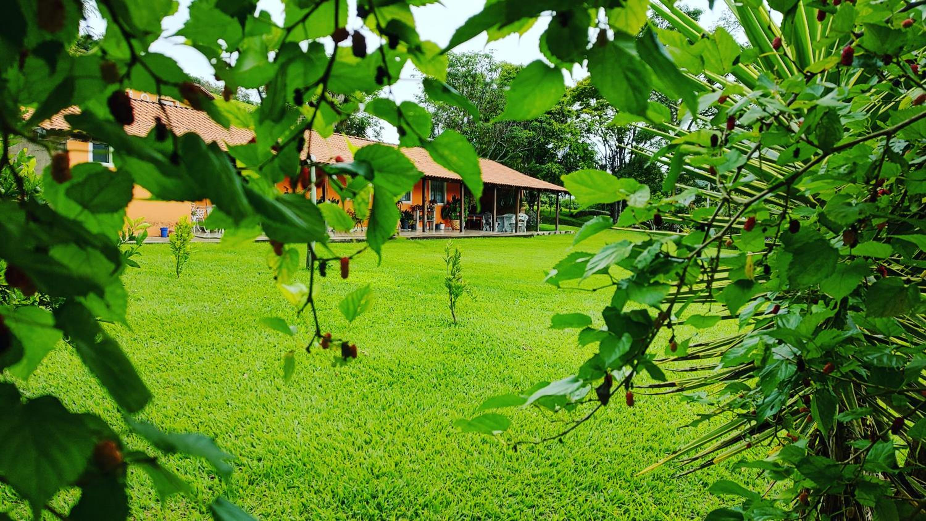 Pousada Campestre Cunha-SP view 2