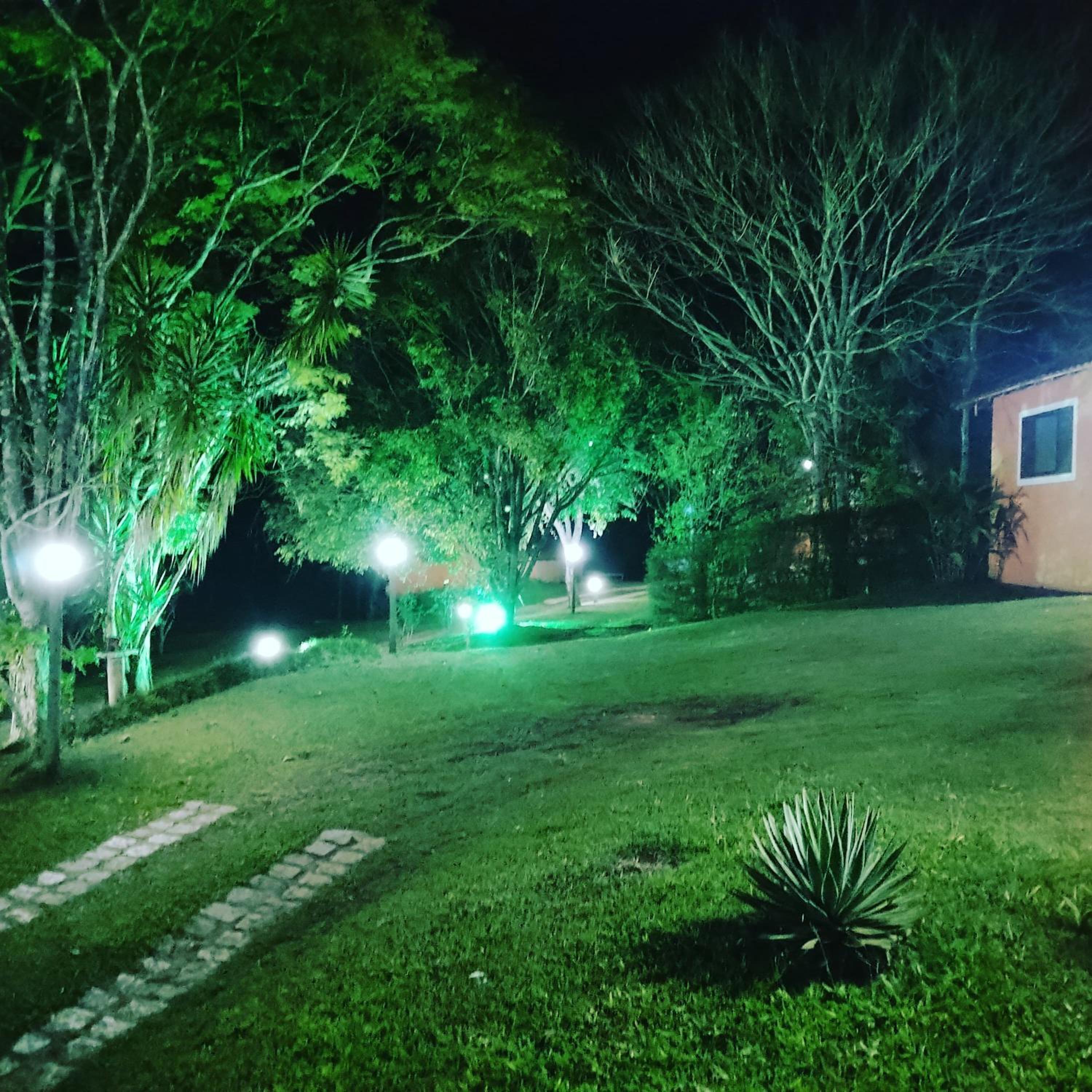 Photo 42