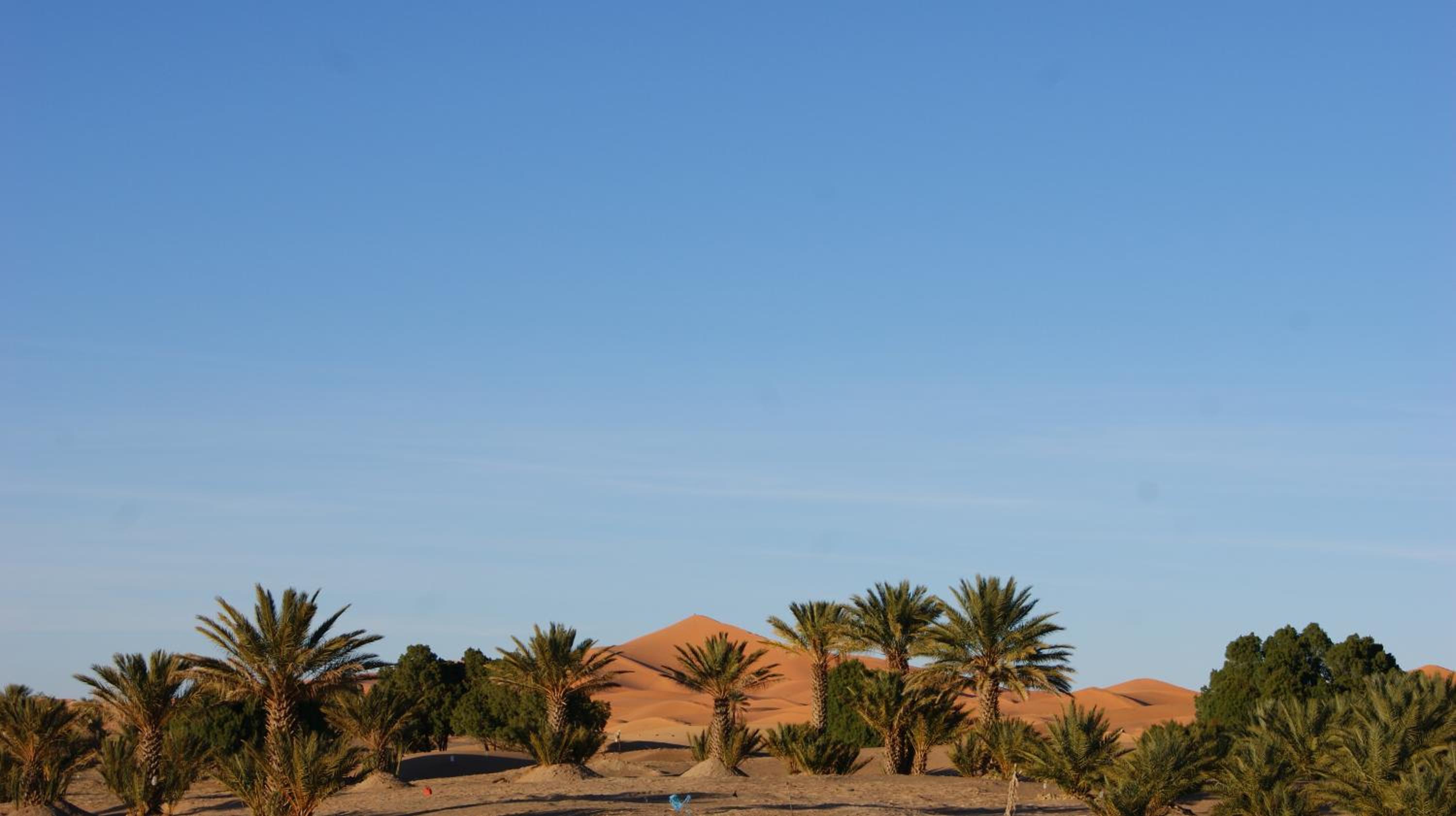 Riad Moha