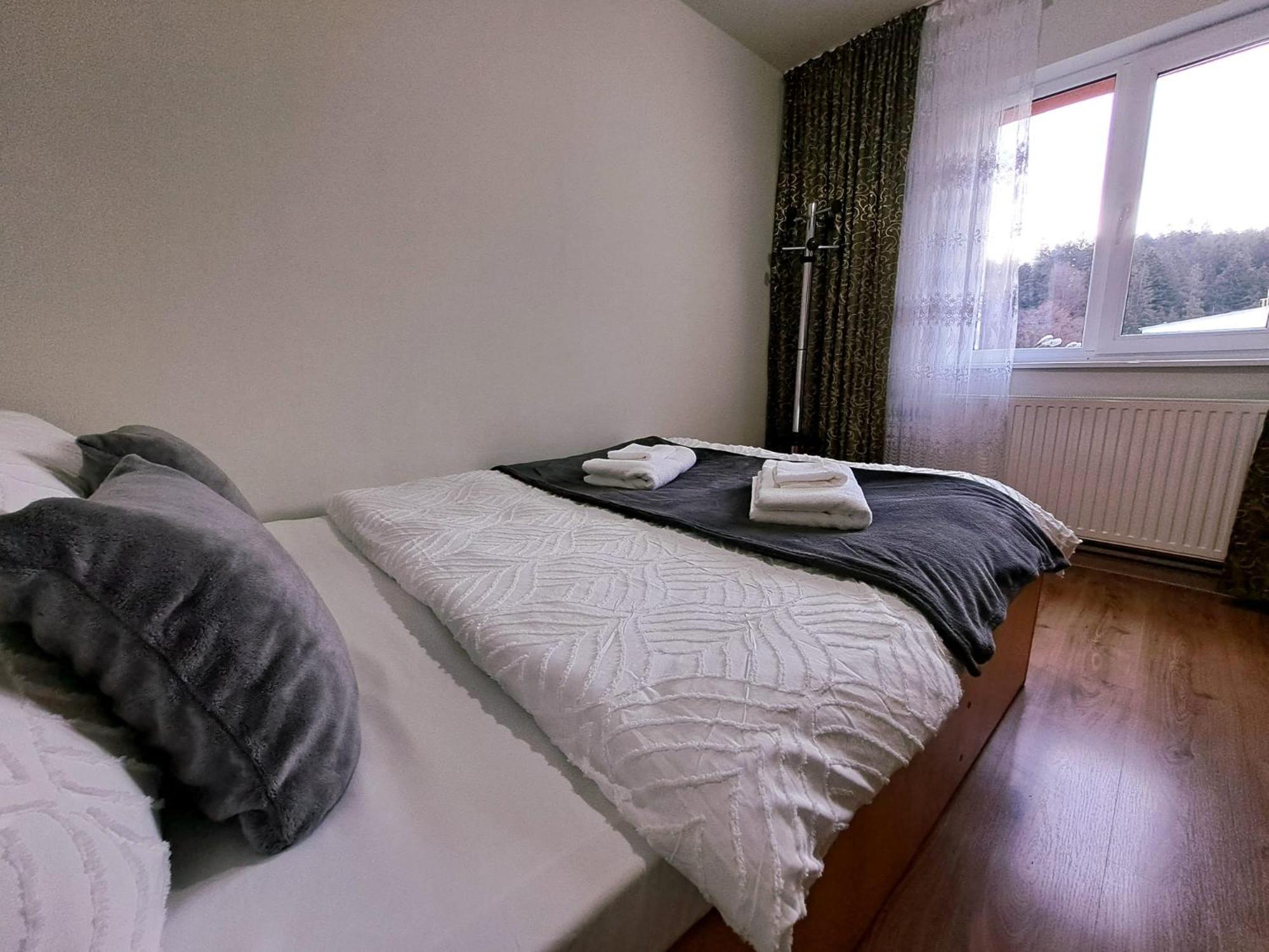 Aviliz Apartament Bușteni view 5