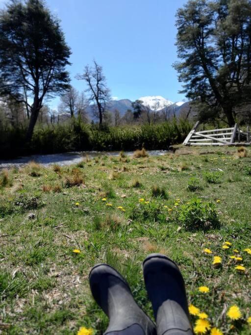 Hau Lodge Malalcahuello Corralco Starlink