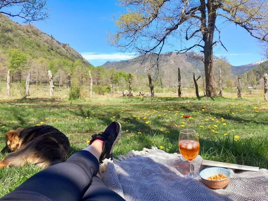 Hau Lodge Malalcahuello Corralco Starlink