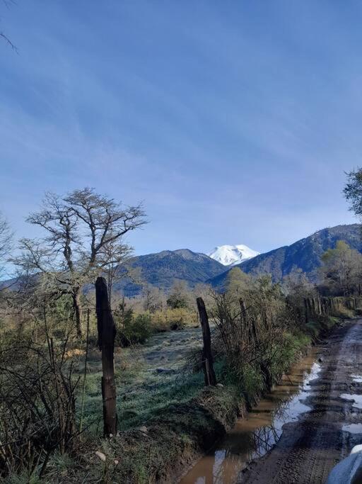 Hau Lodge Malalcahuello Corralco Starlink