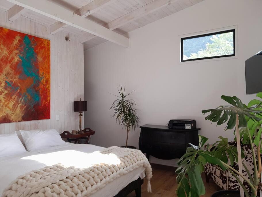 Hau Lodge Malalcahuello Corralco Starlink