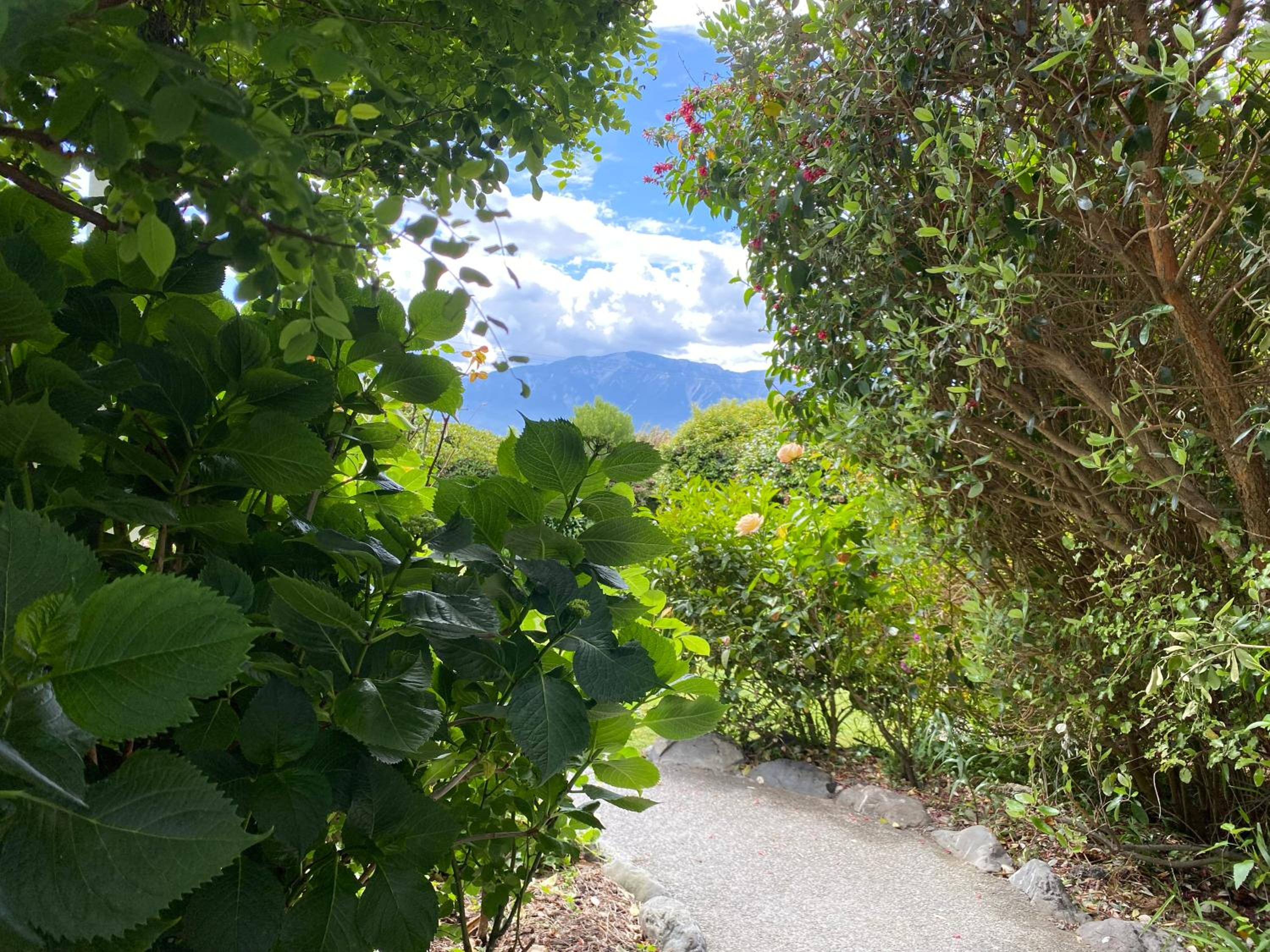 Photo 19