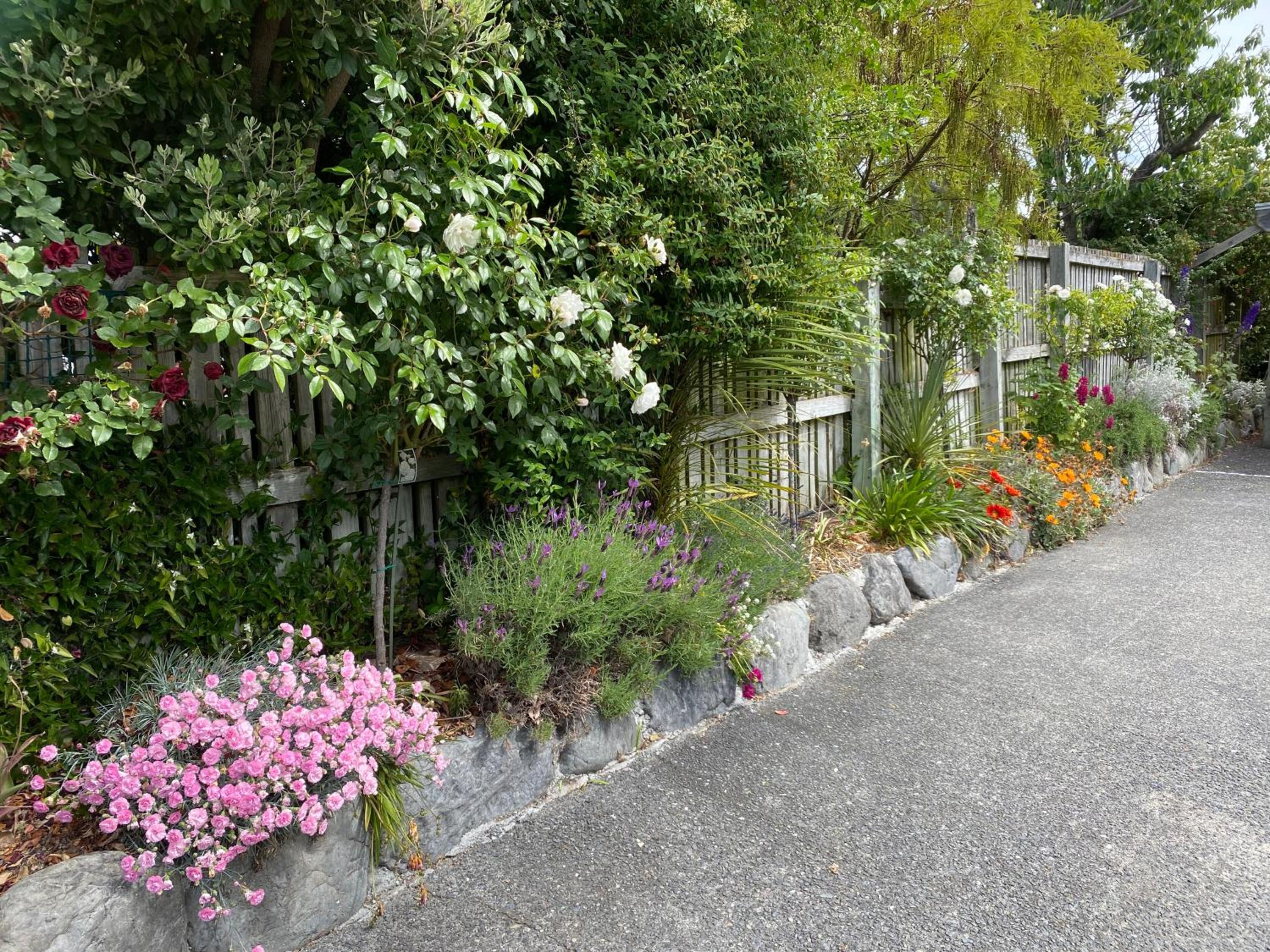 Photo 25