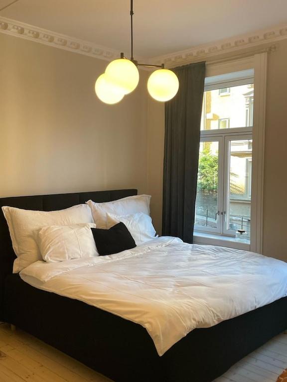 Lovely central apartment with two large bedrooms nearby Oslo Opera, vis a vis Botanical garden