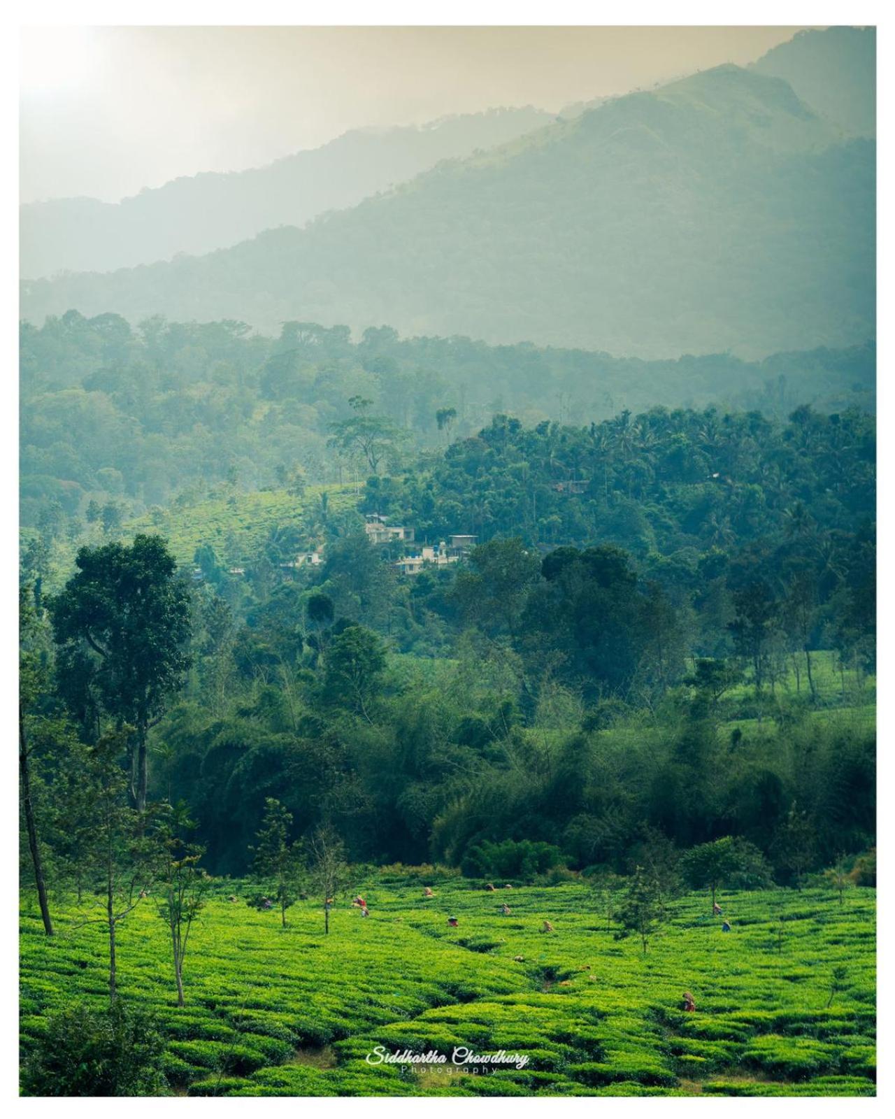 Grassroots Wayanad, Valley-view Tents