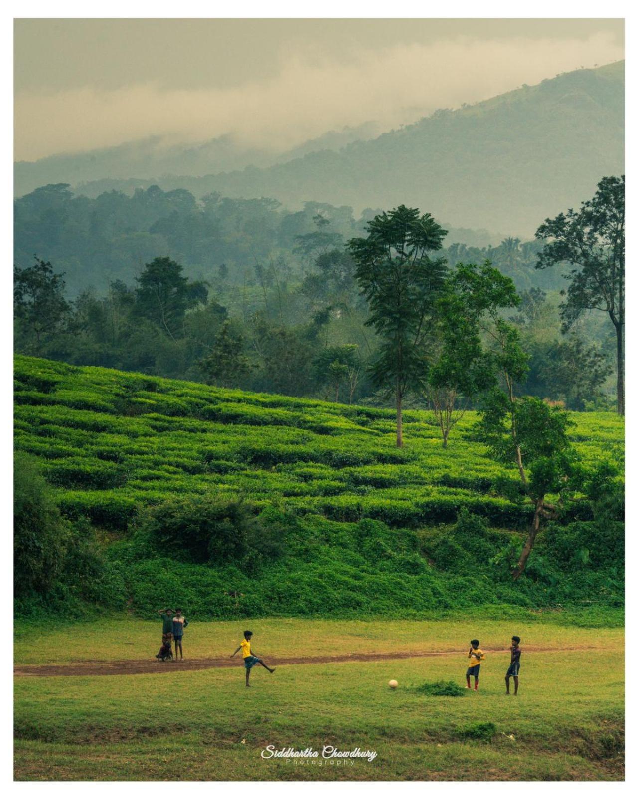 Grassroots Wayanad, Valley-view Tents