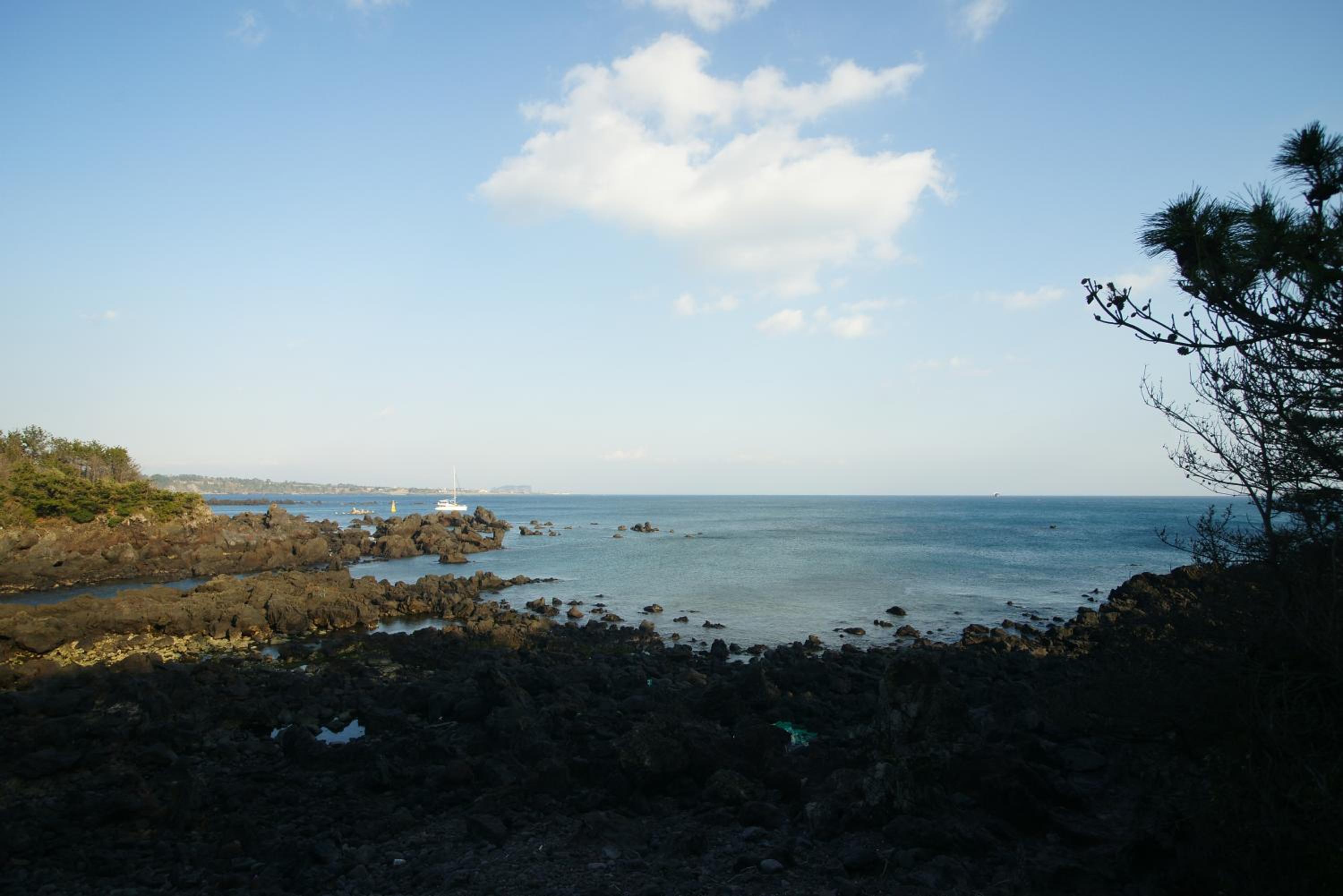 Sunny Day Jeju, Seogwipo - 14