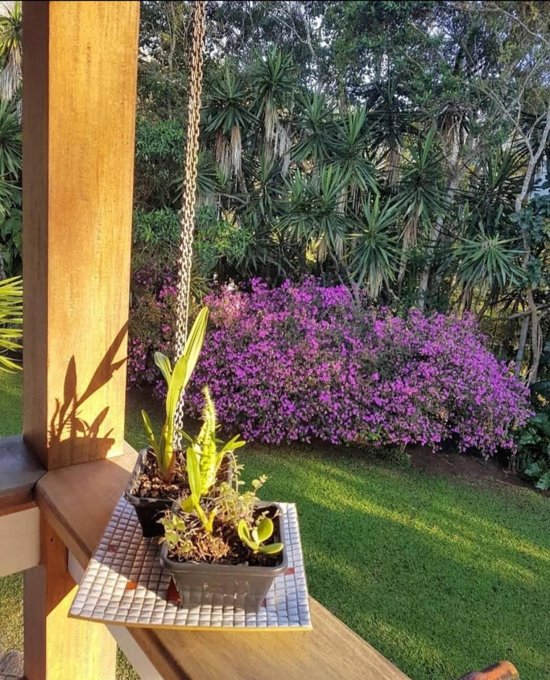 Pousada Pinati