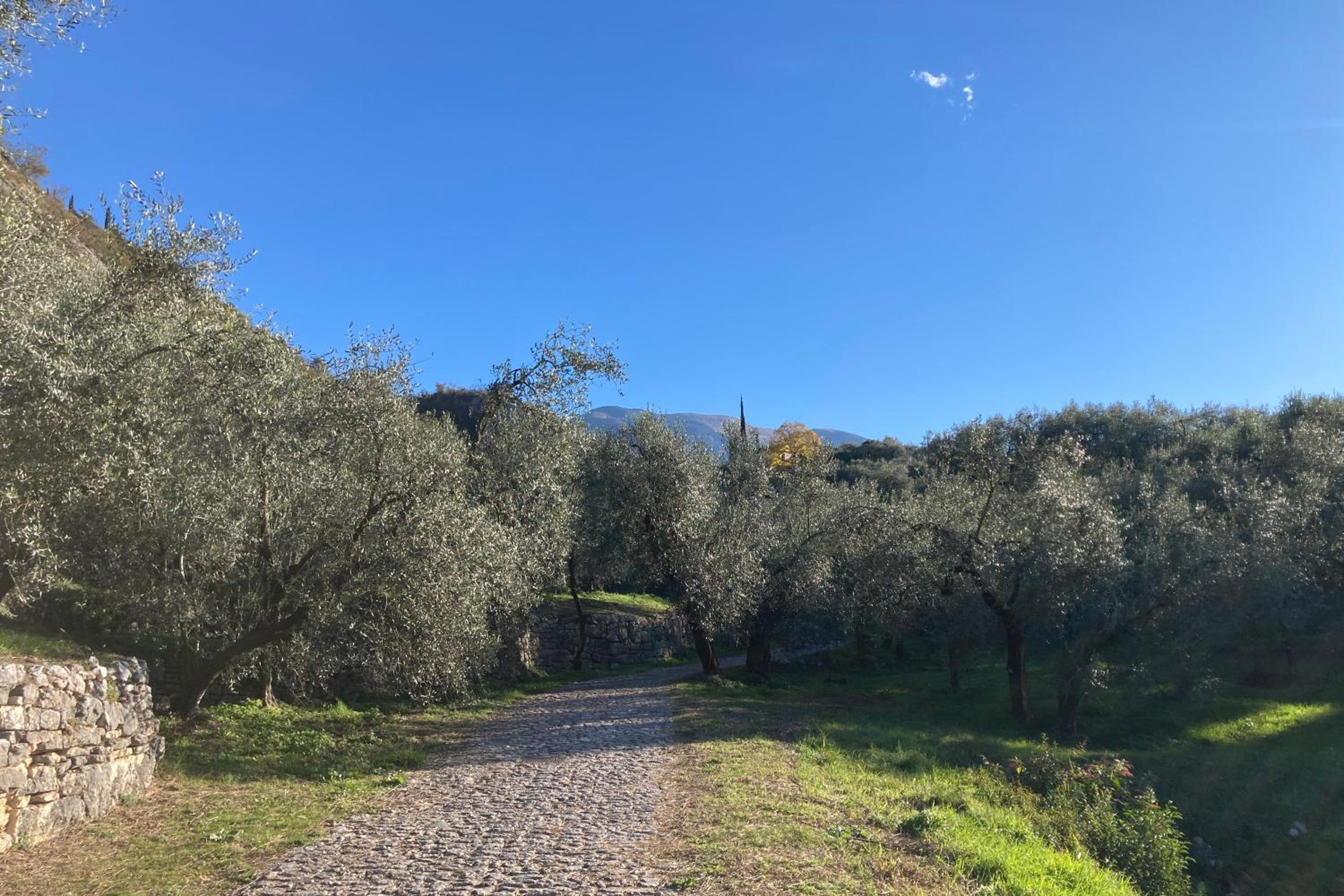 Appartamento AnnaChiara