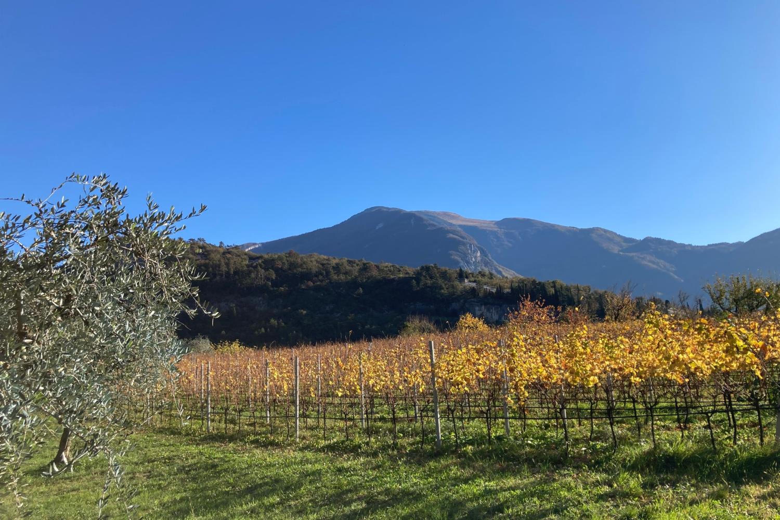 Appartamento AnnaChiara