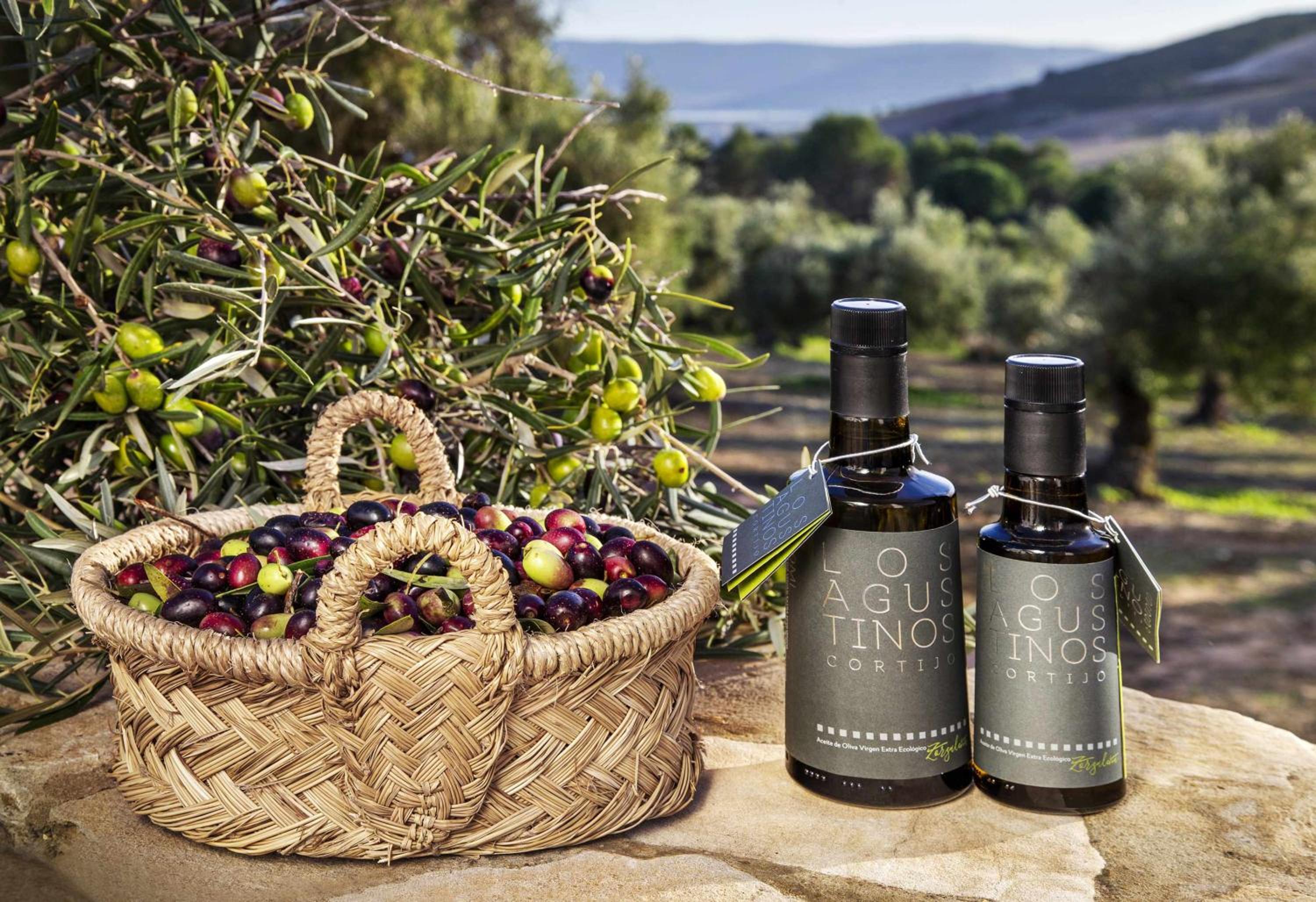 Cortijo exclusivo rodeado de un olivar centenario