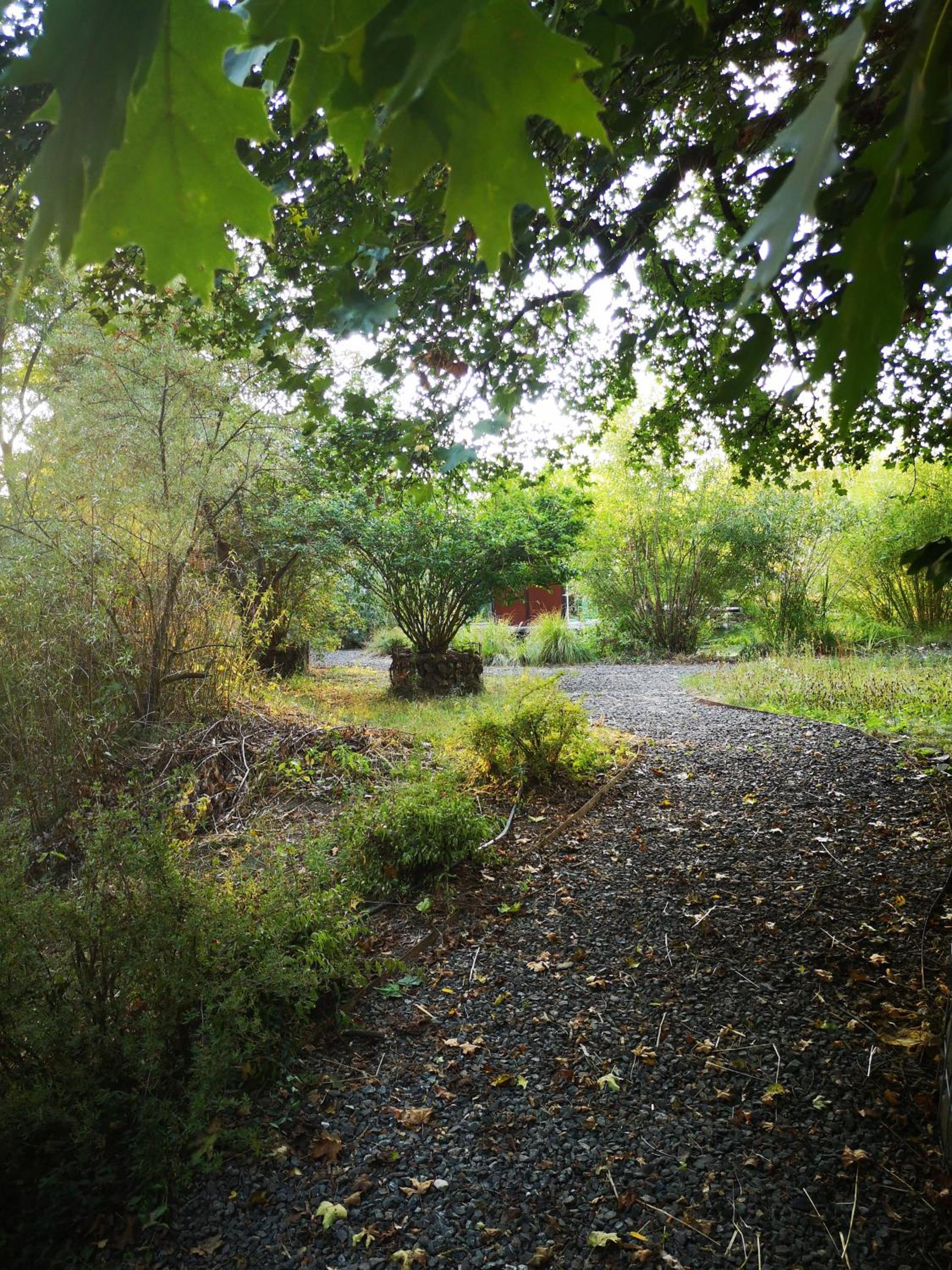 Photo 8