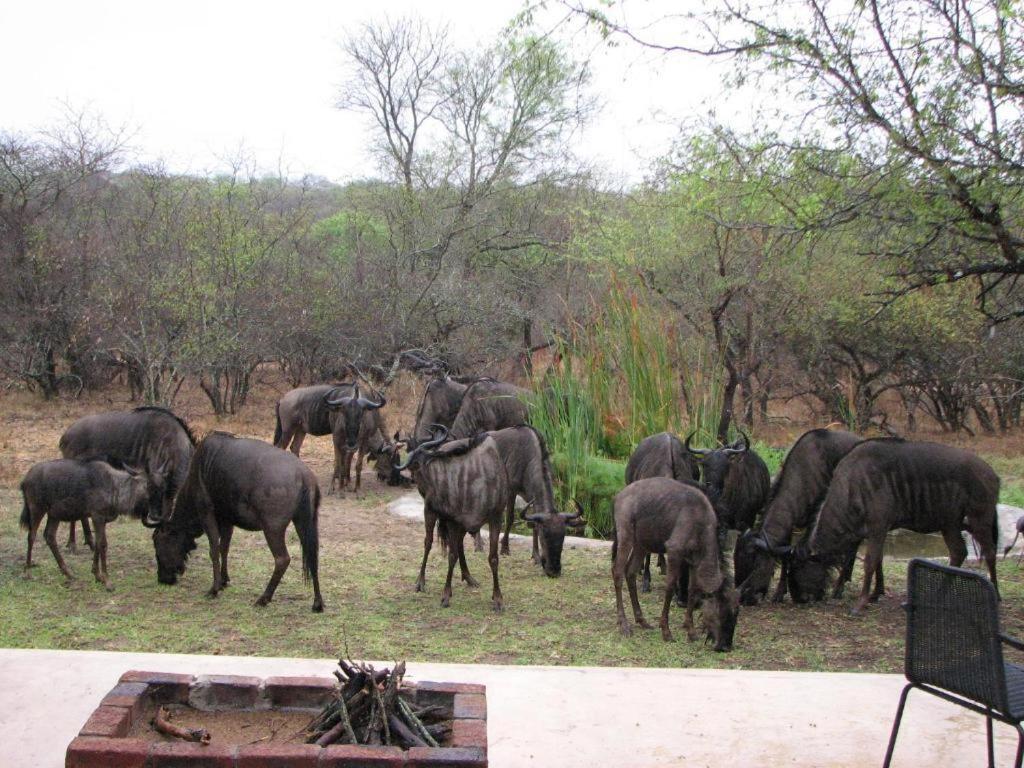 Turaco Lodge - No Loadshedding