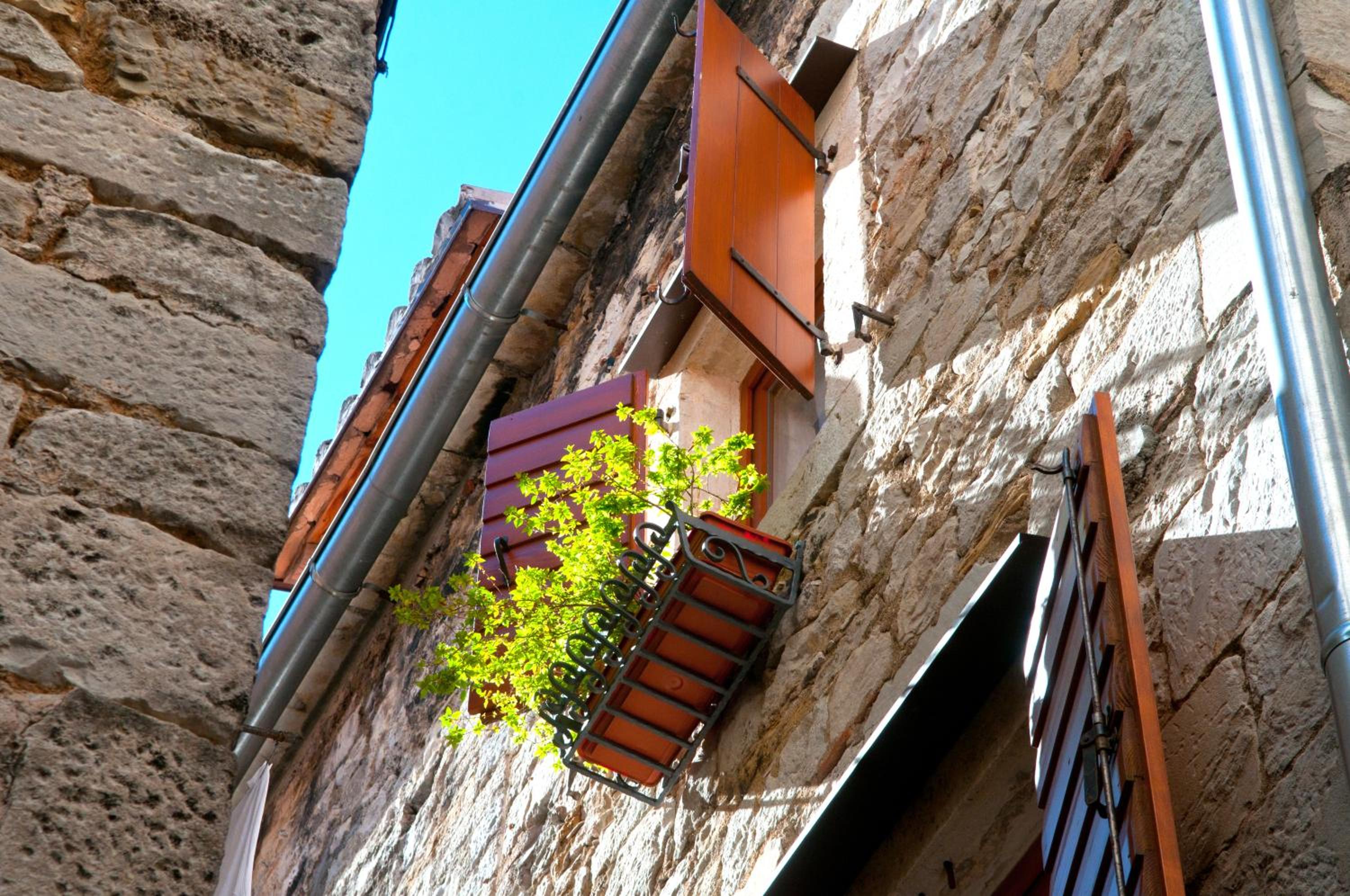 Apartments Salvezani