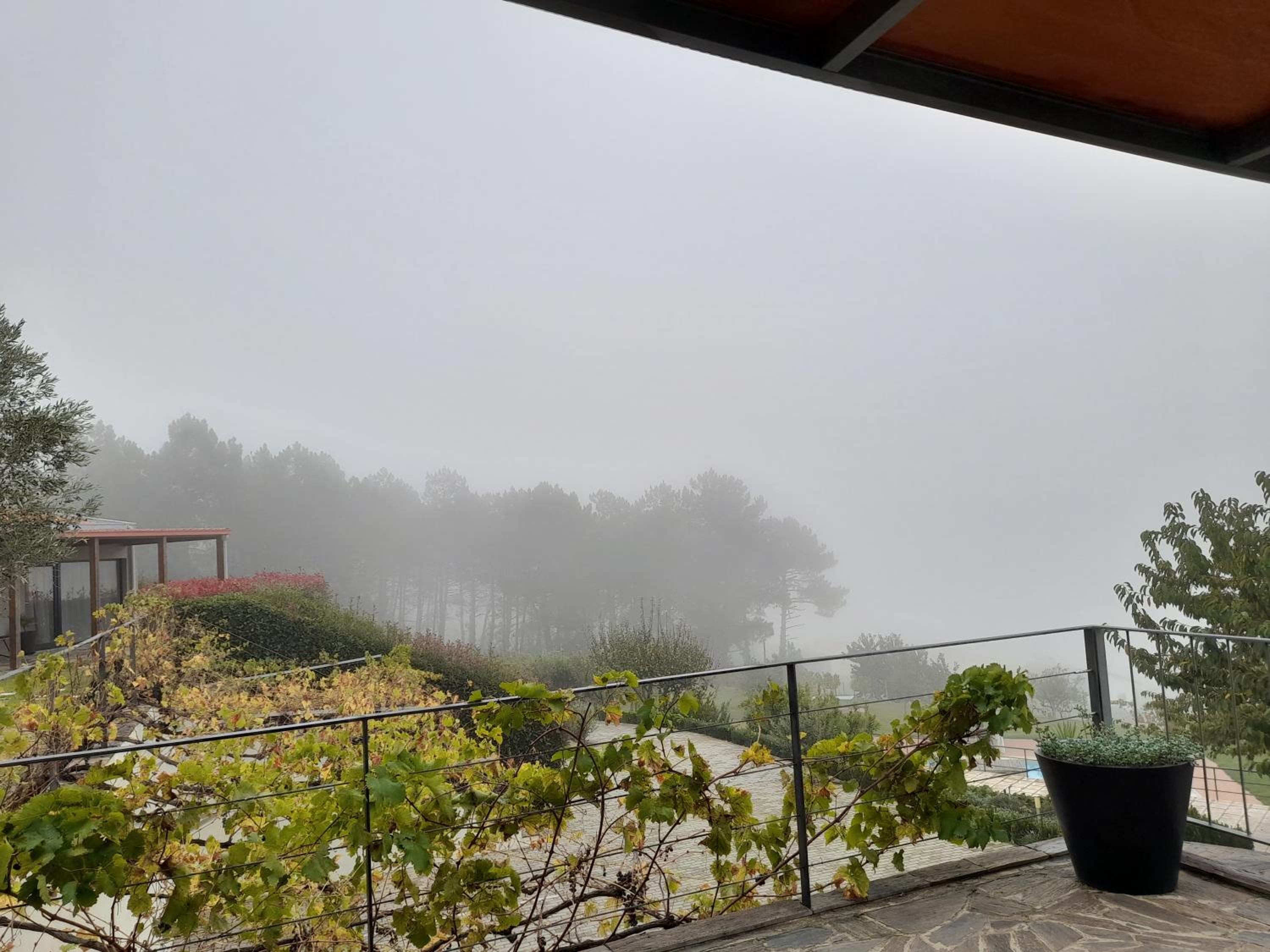 Quinta Manhas Douro