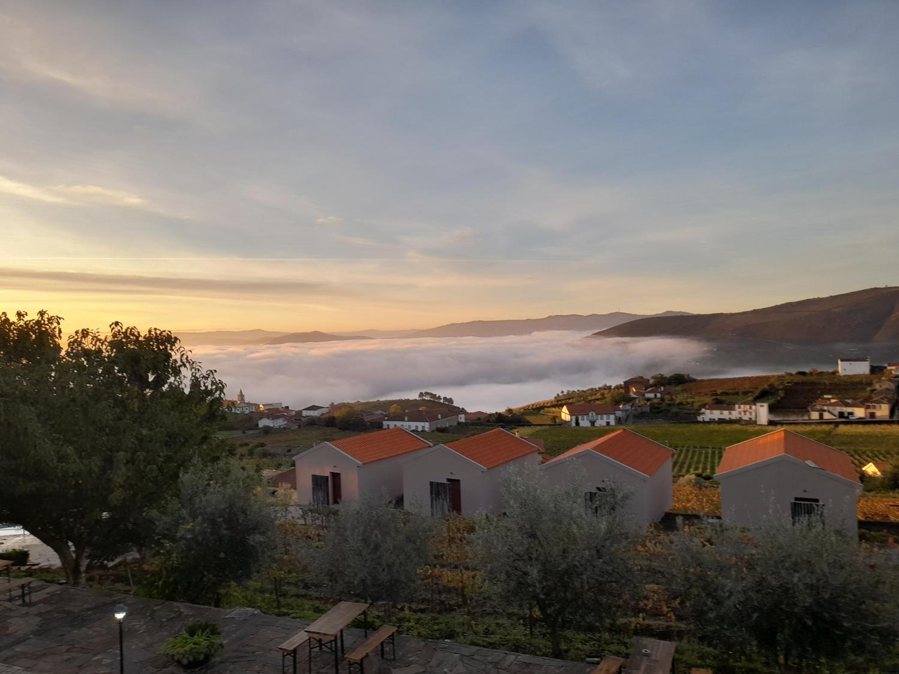 Quinta Manhas Douro