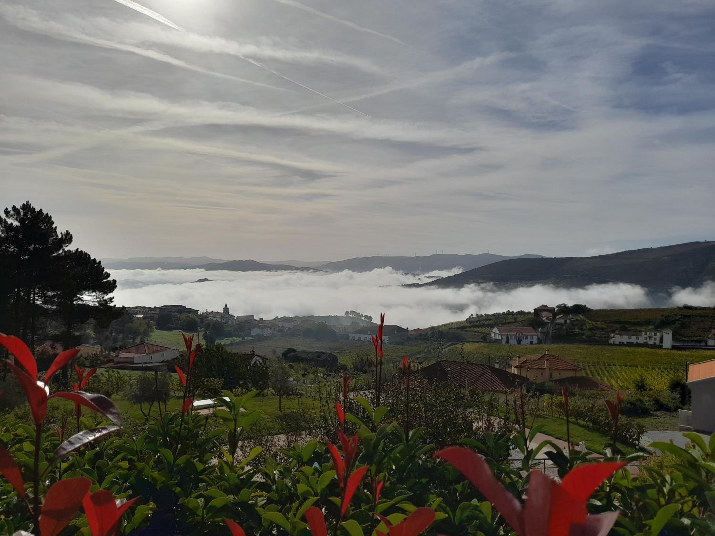 Quinta Manhas Douro