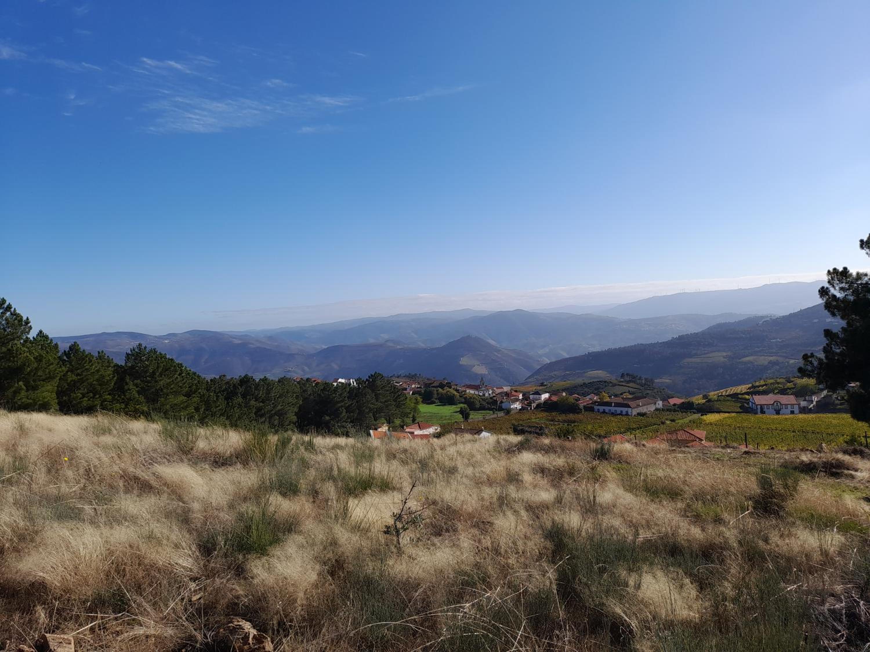 Quinta Manhas Douro