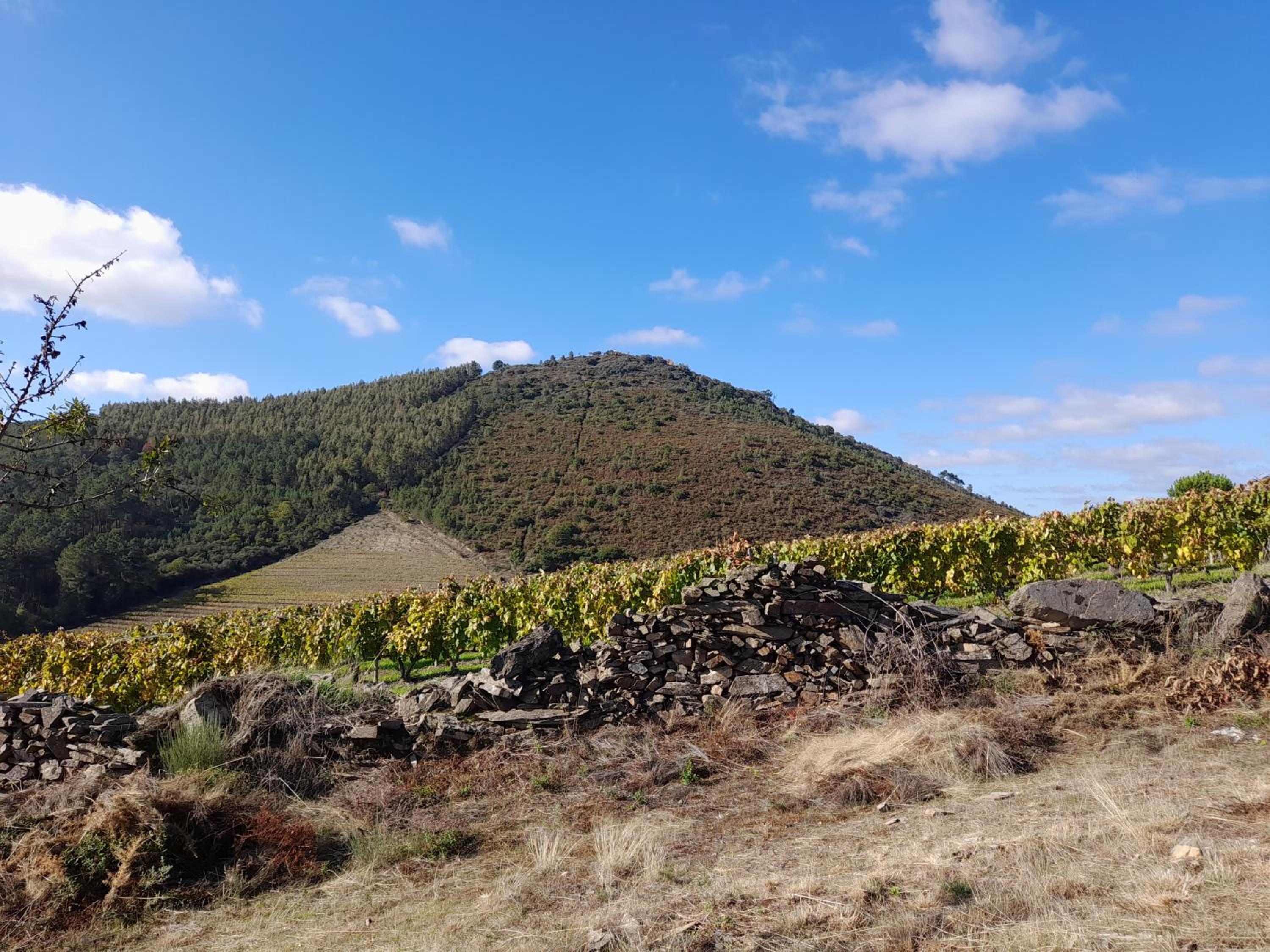 Quinta Manhas Douro