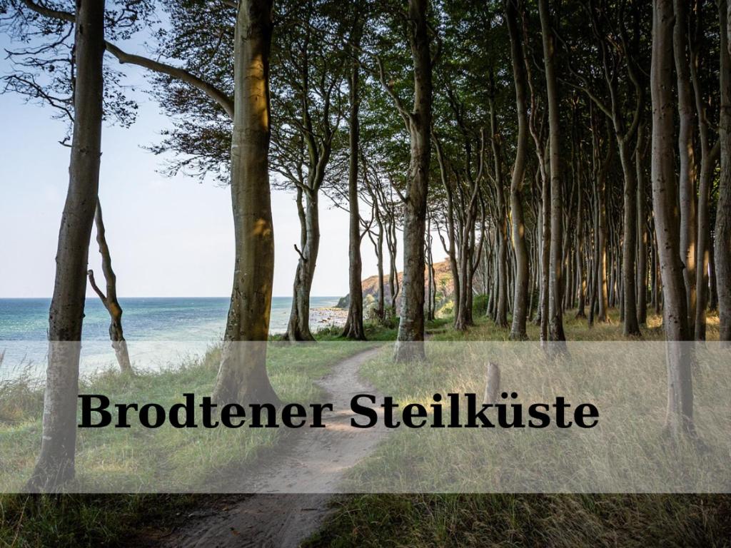 Top - Seaside Appartement mit Meerblick