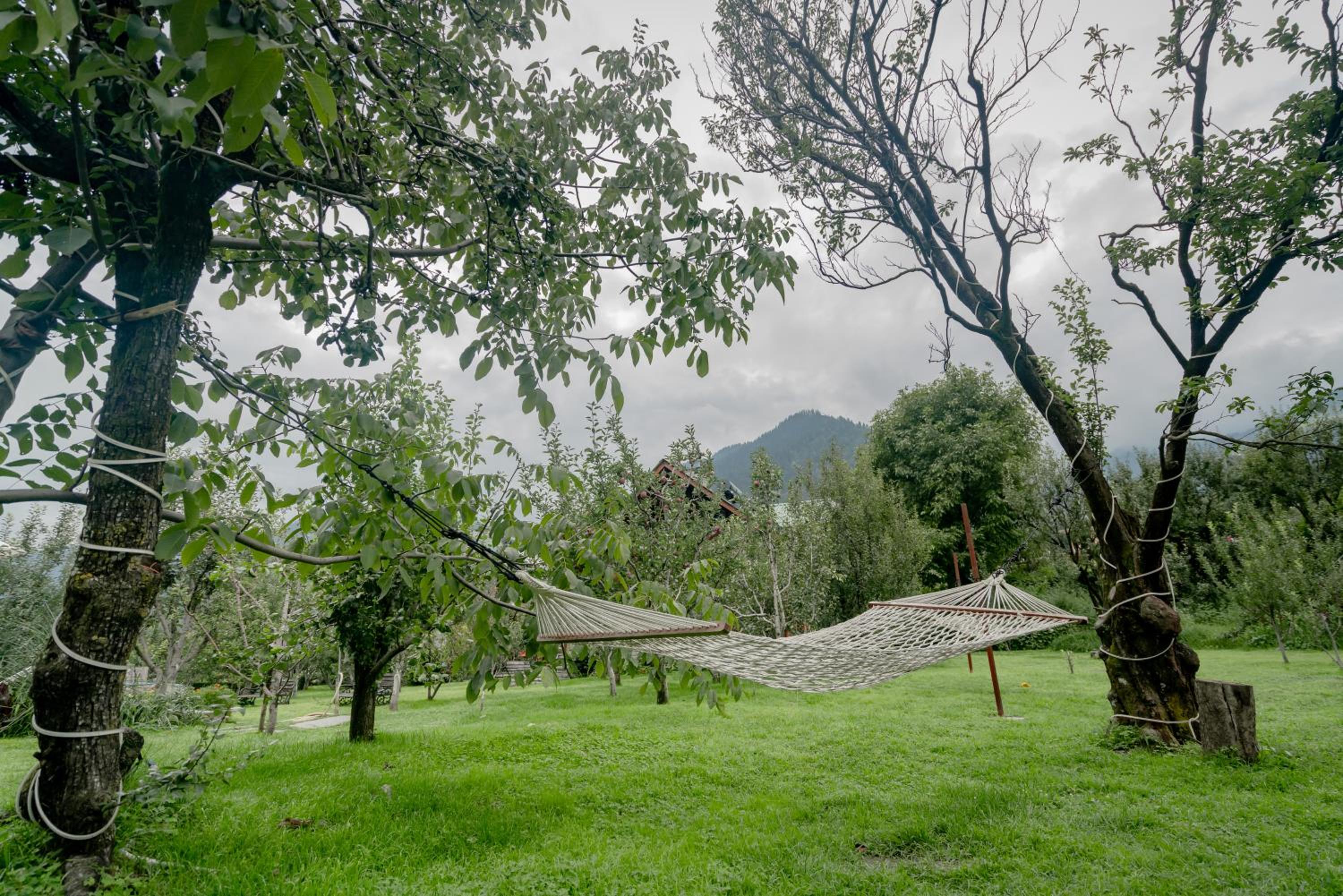 Larisa Resort Manali