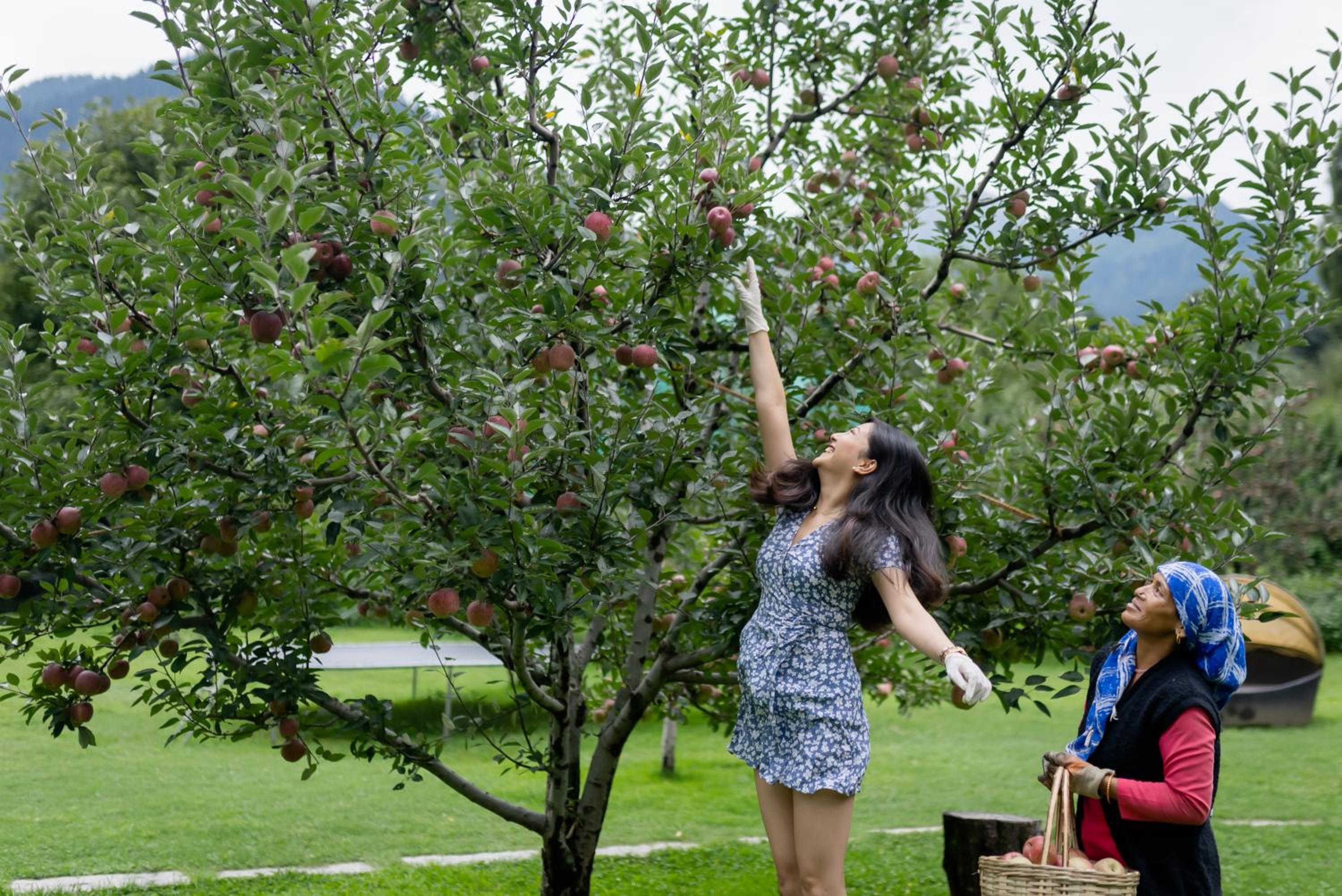 Larisa Resort Manali