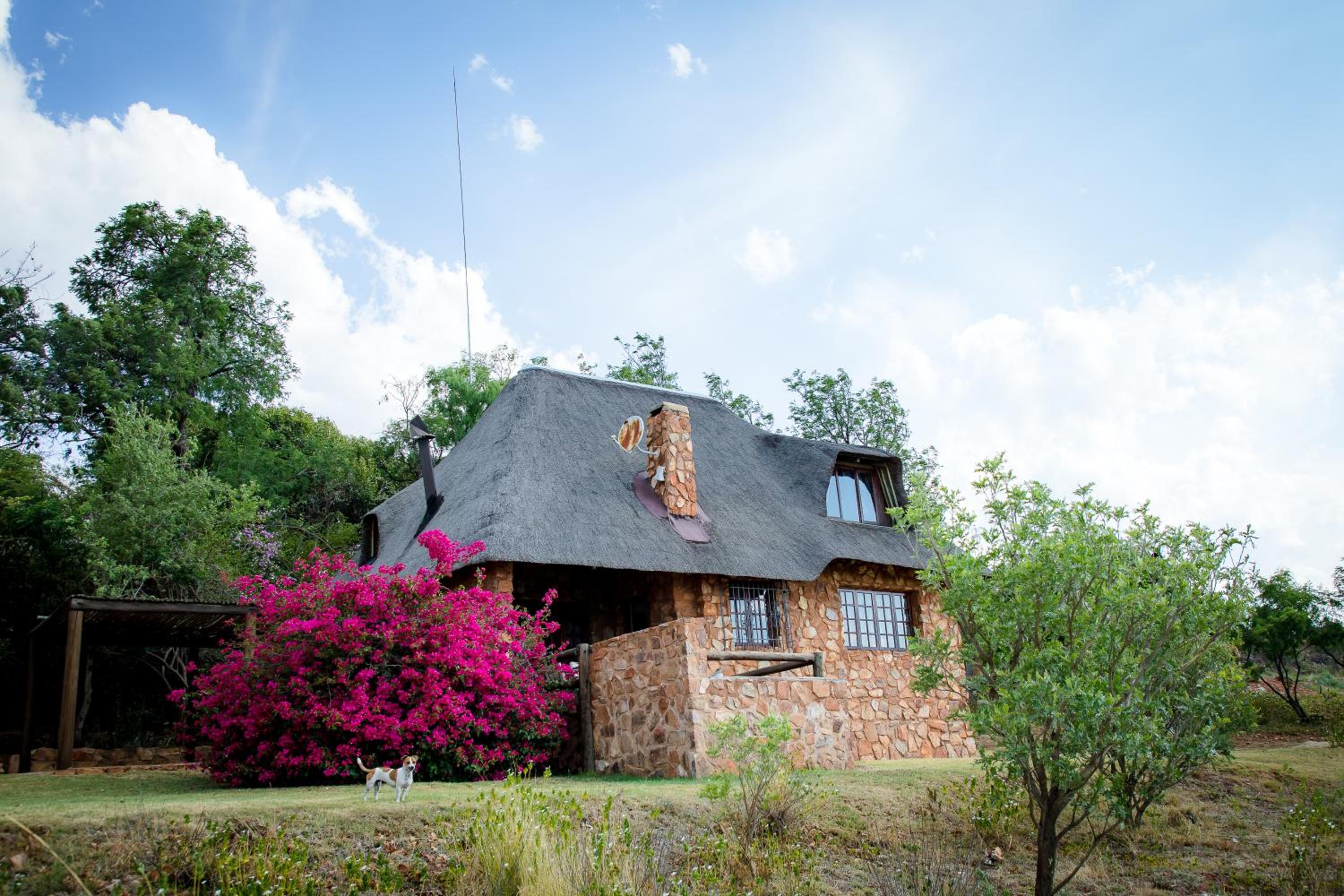 Hotel Koraalboom At Benlize