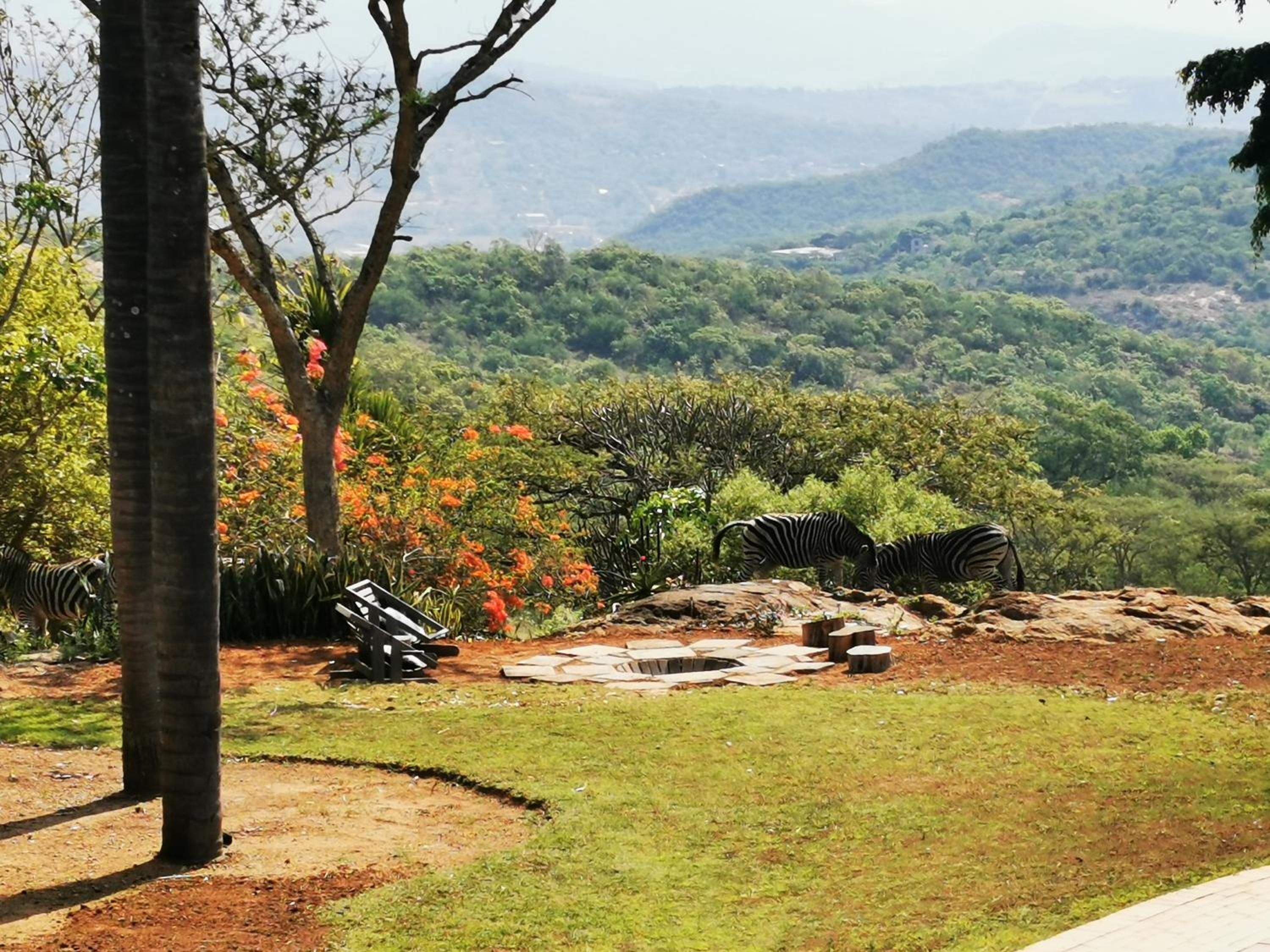 The Homestay view 4