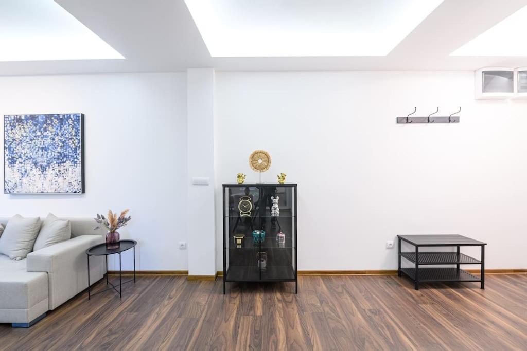 Dedinje apartment view 3