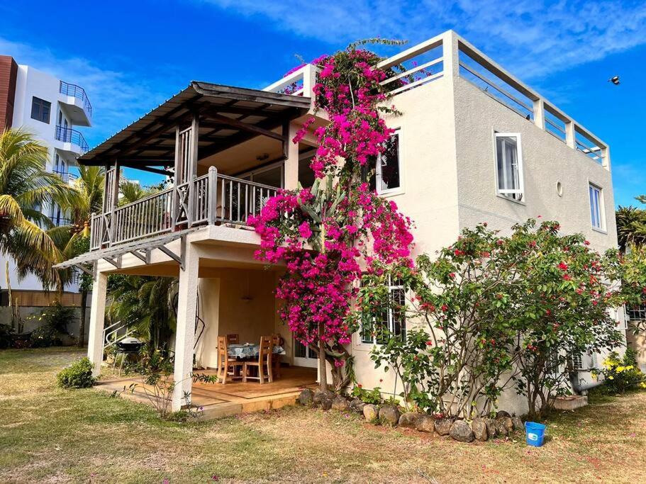 Roche Island Bungalows photo 1