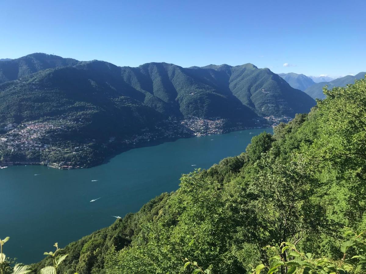 I Faggi di S. Giorgio, photo 48