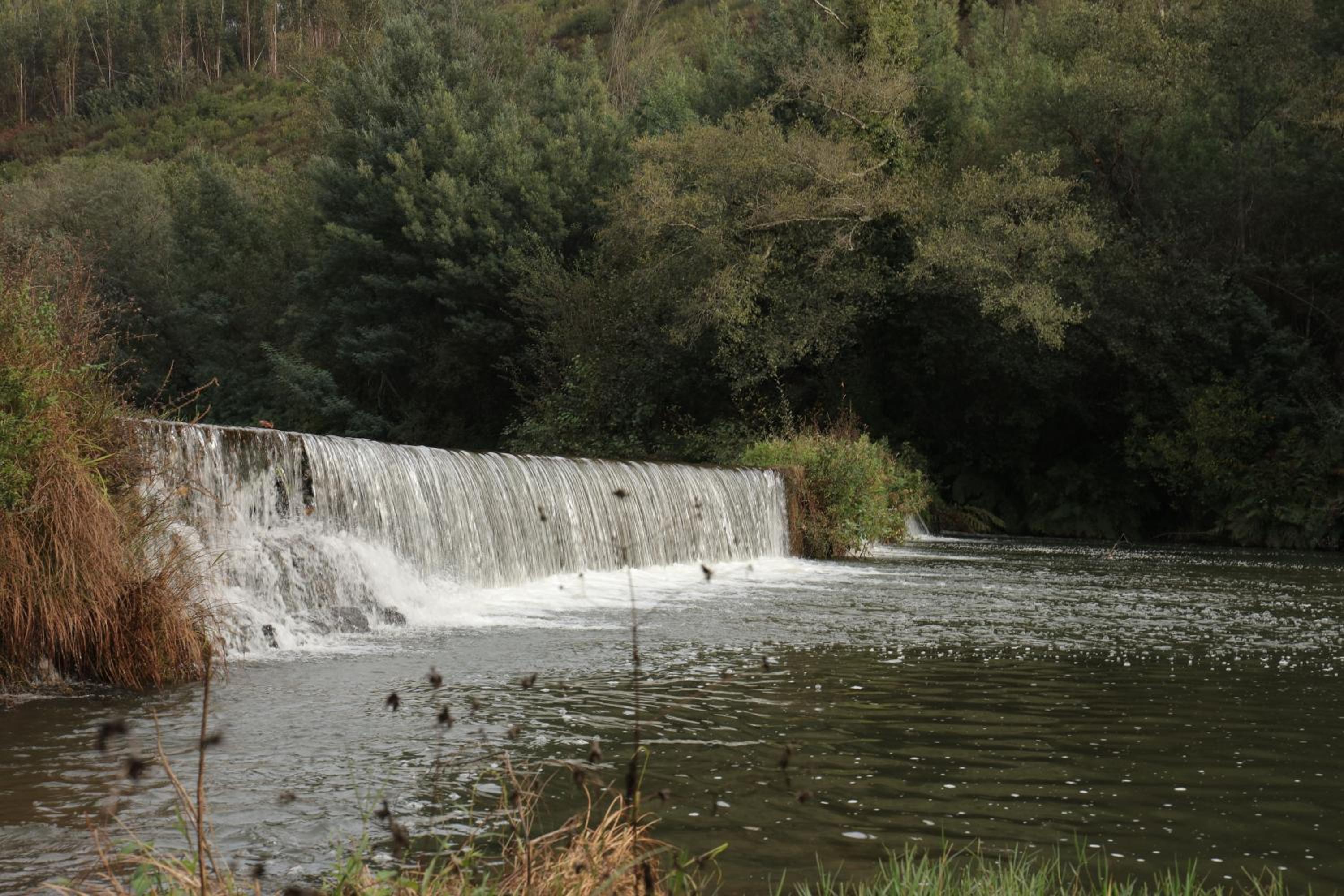 Vale das Maias - Casa de Campo, Billede 23
