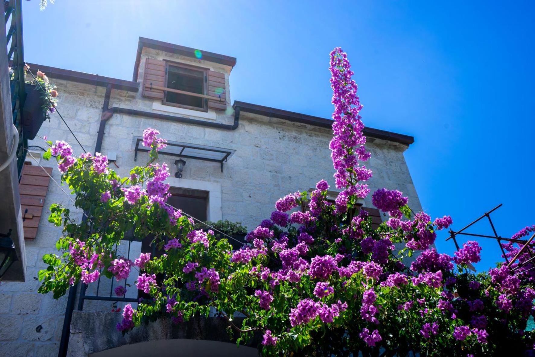 Stone House Marino