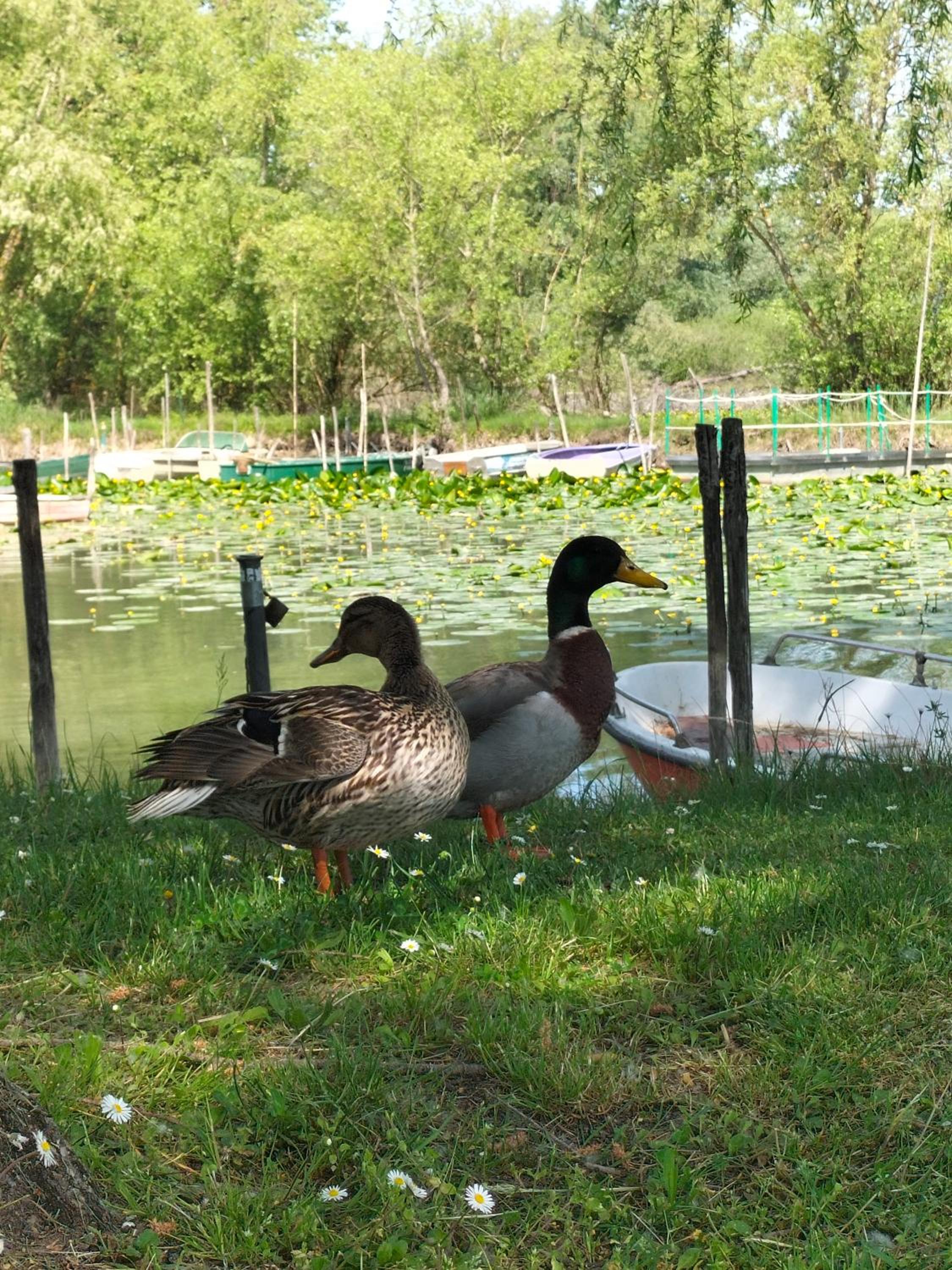 Photo 33