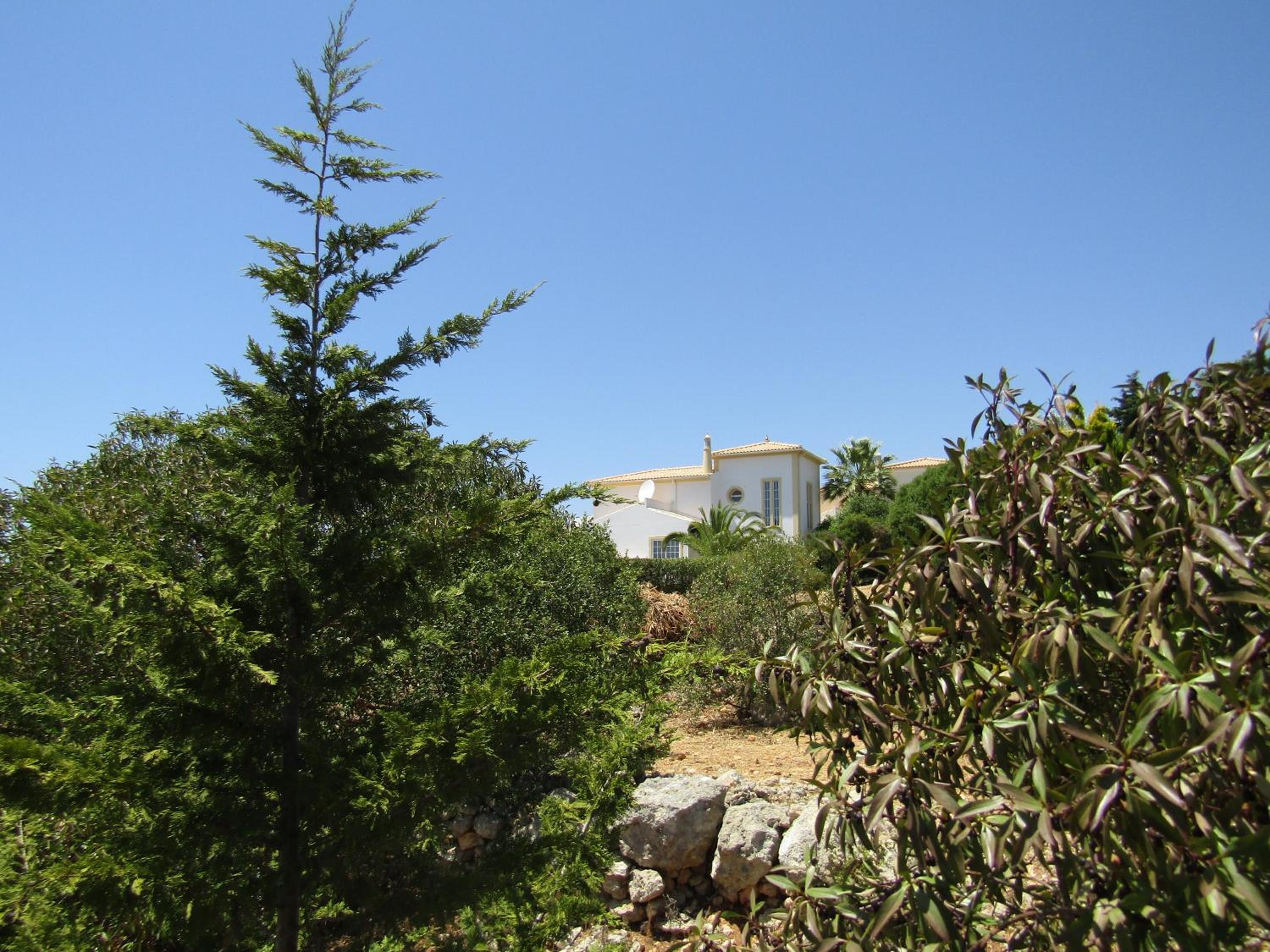 Villa Flores view 5