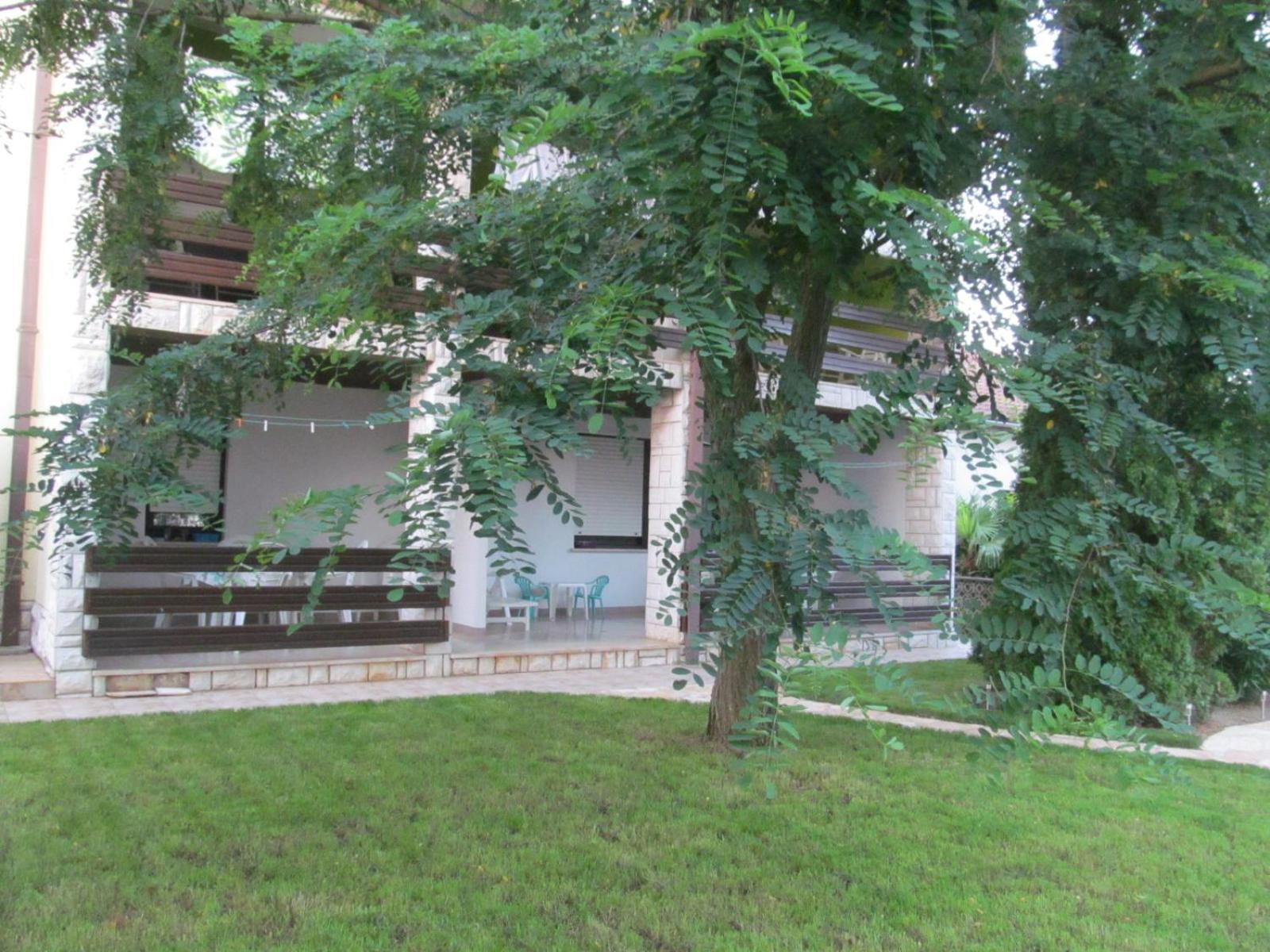 Photo 49