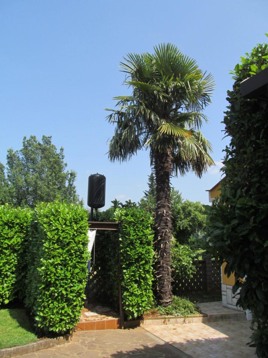Photo 51